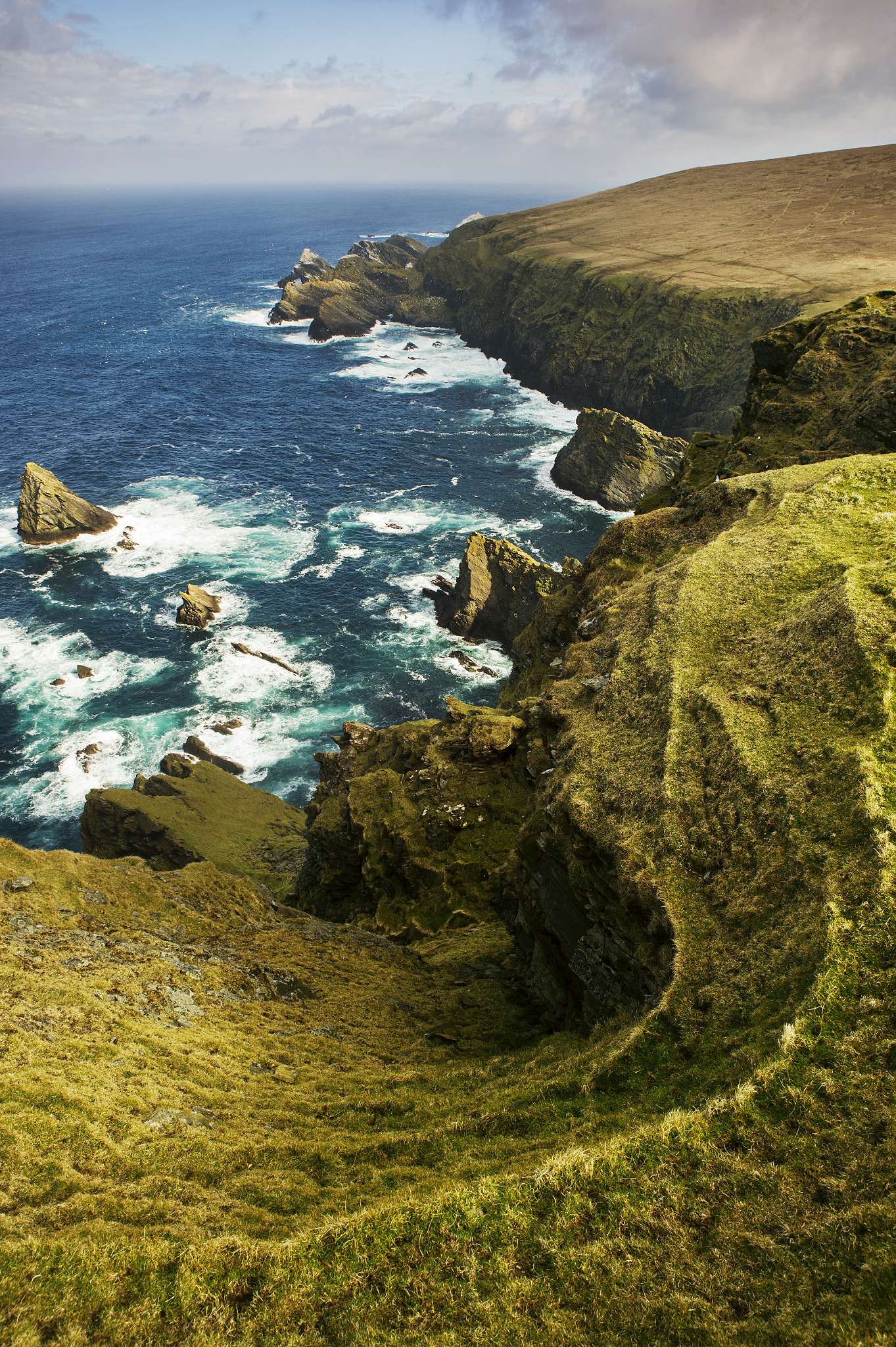 Nikon Df sample photo. Hermaness coast photography