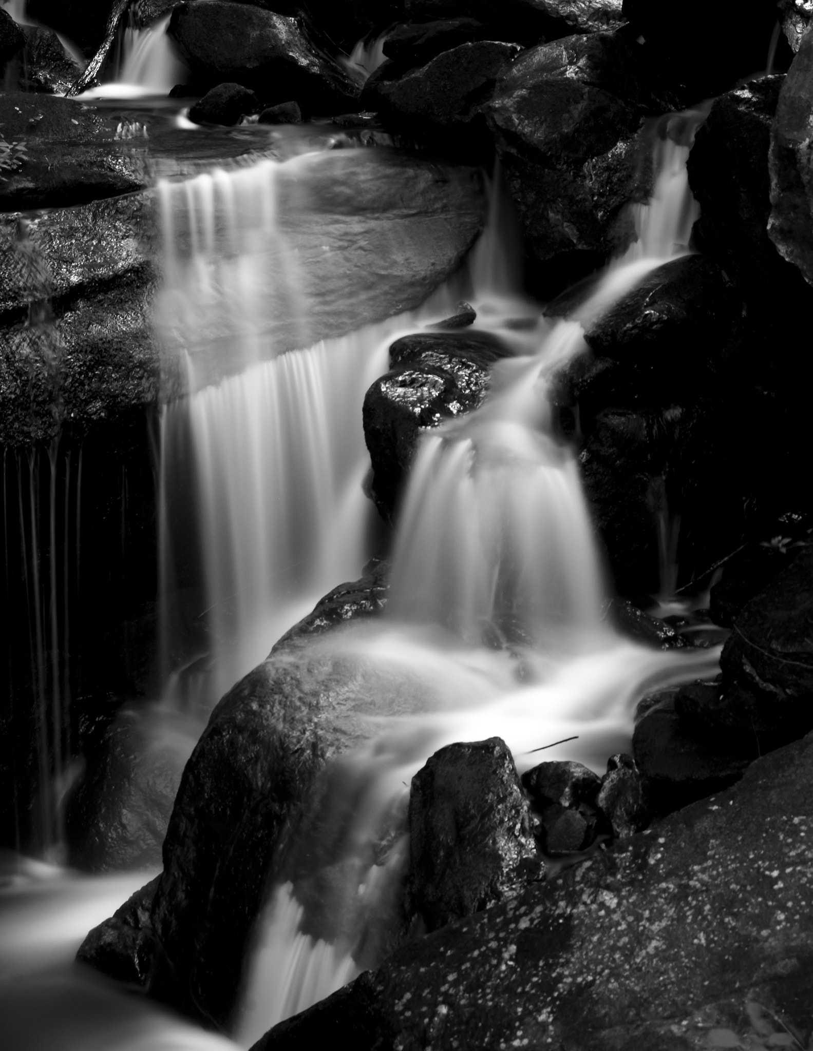 Nikon D7100 + Sigma 18-50mm F3.5-5.6 DC sample photo. Amicalola falls b/w photography