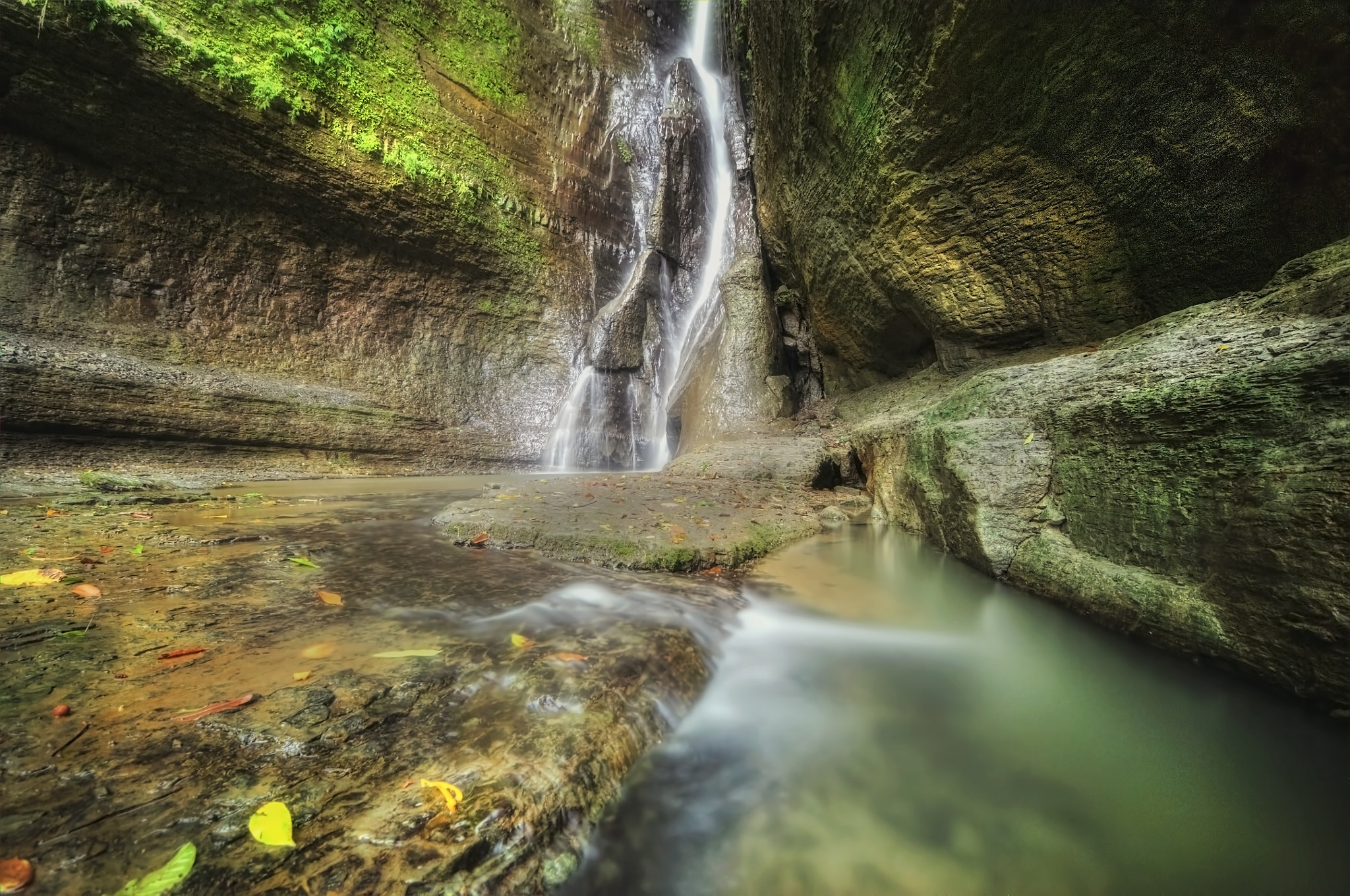 Nikon D300S sample photo. Nature shower photography