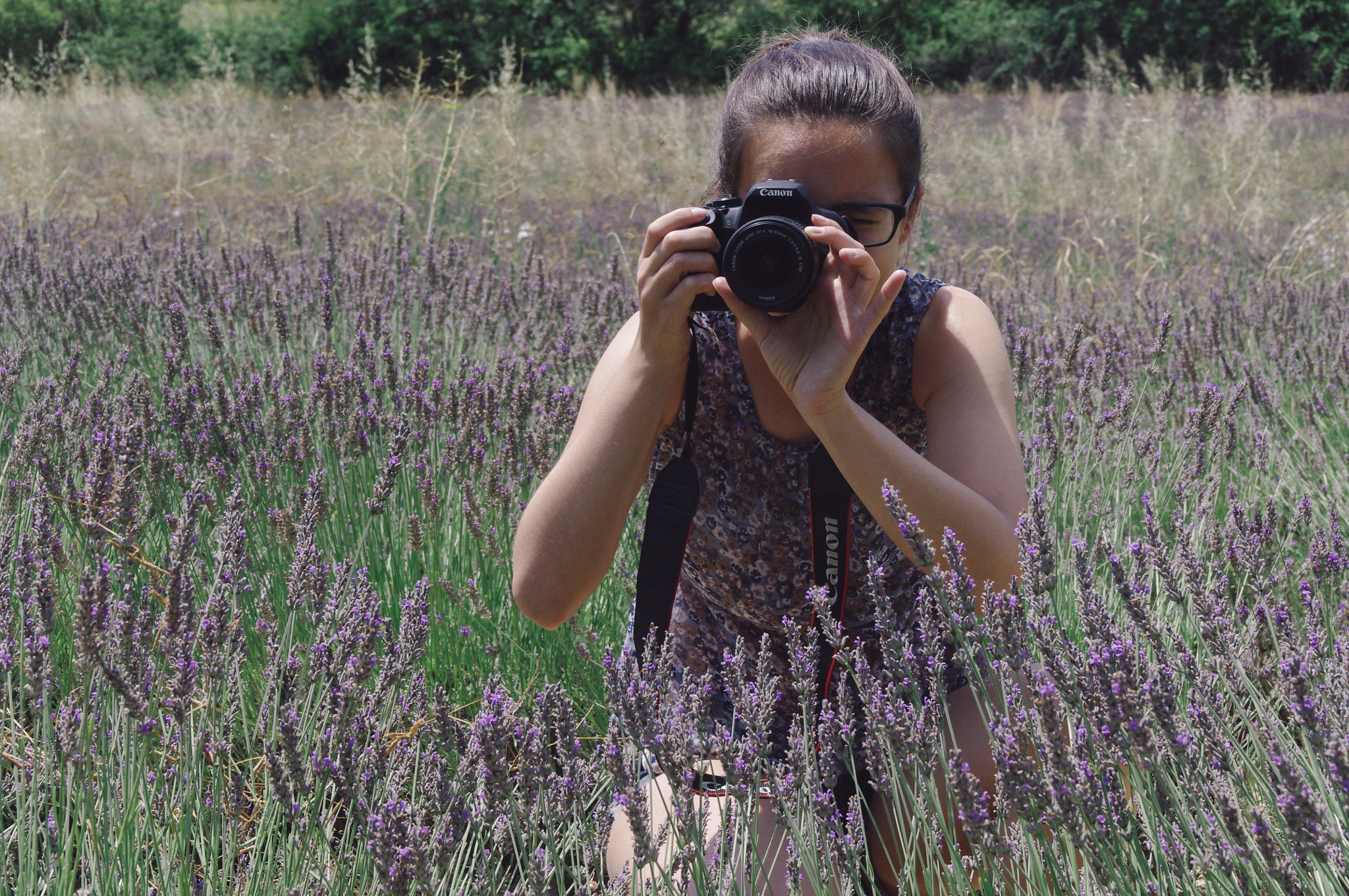 Tamron AF 18-200mm F3.5-6.3 XR Di II LD Aspherical (IF) Macro sample photo. Lavanda photography