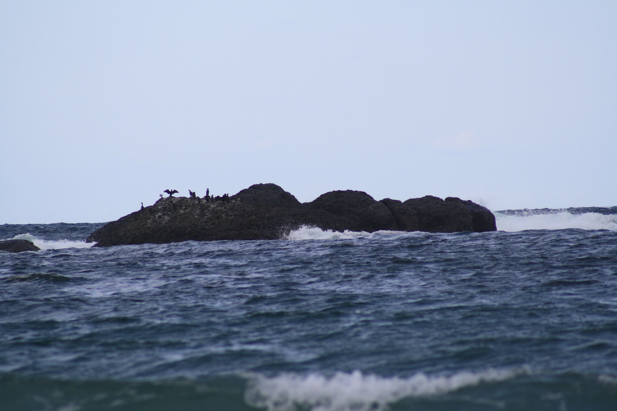 Canon EF 75-300mm f/4-5.6 USM sample photo. Img photography