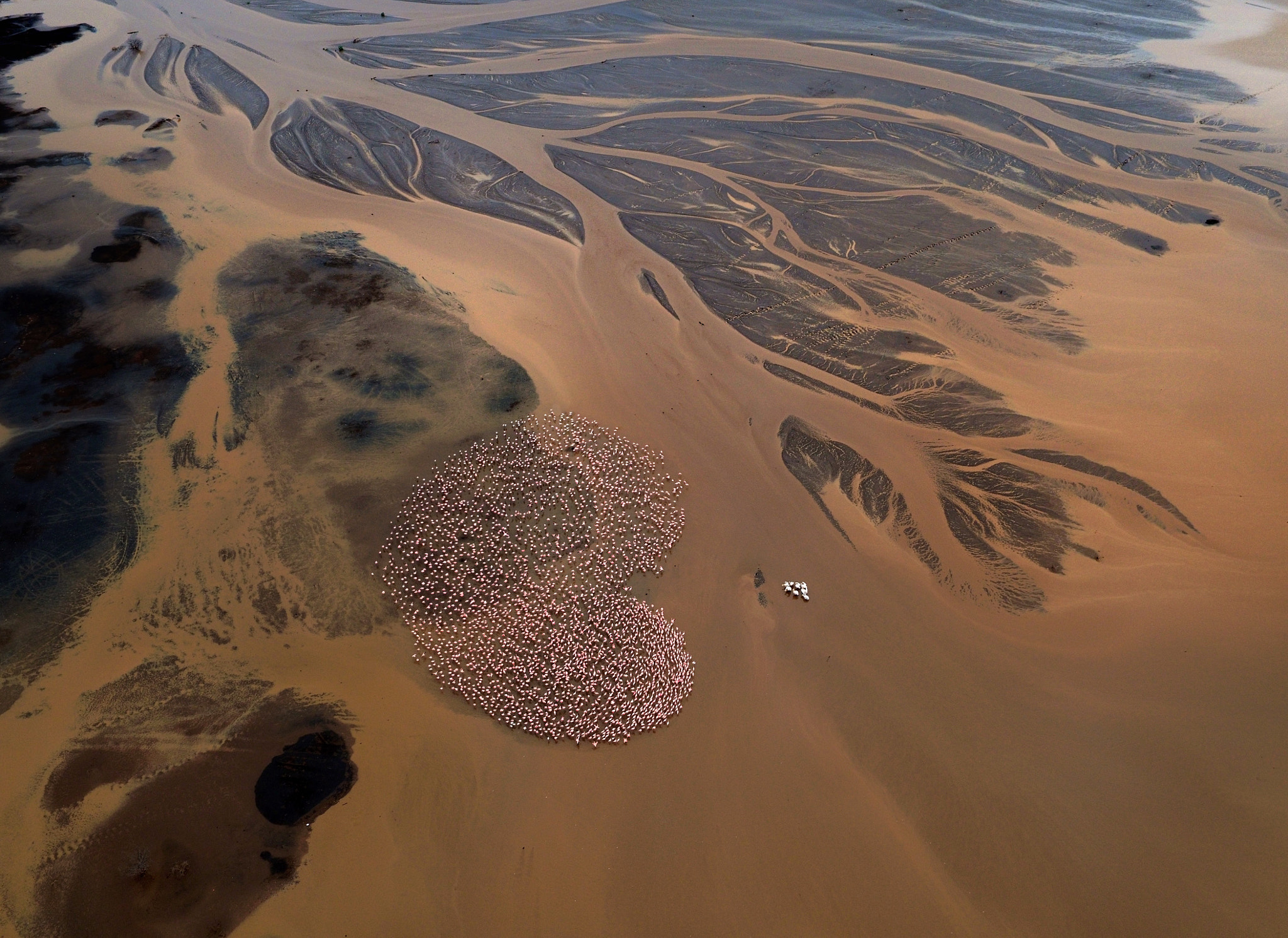 DJI FC550 sample photo