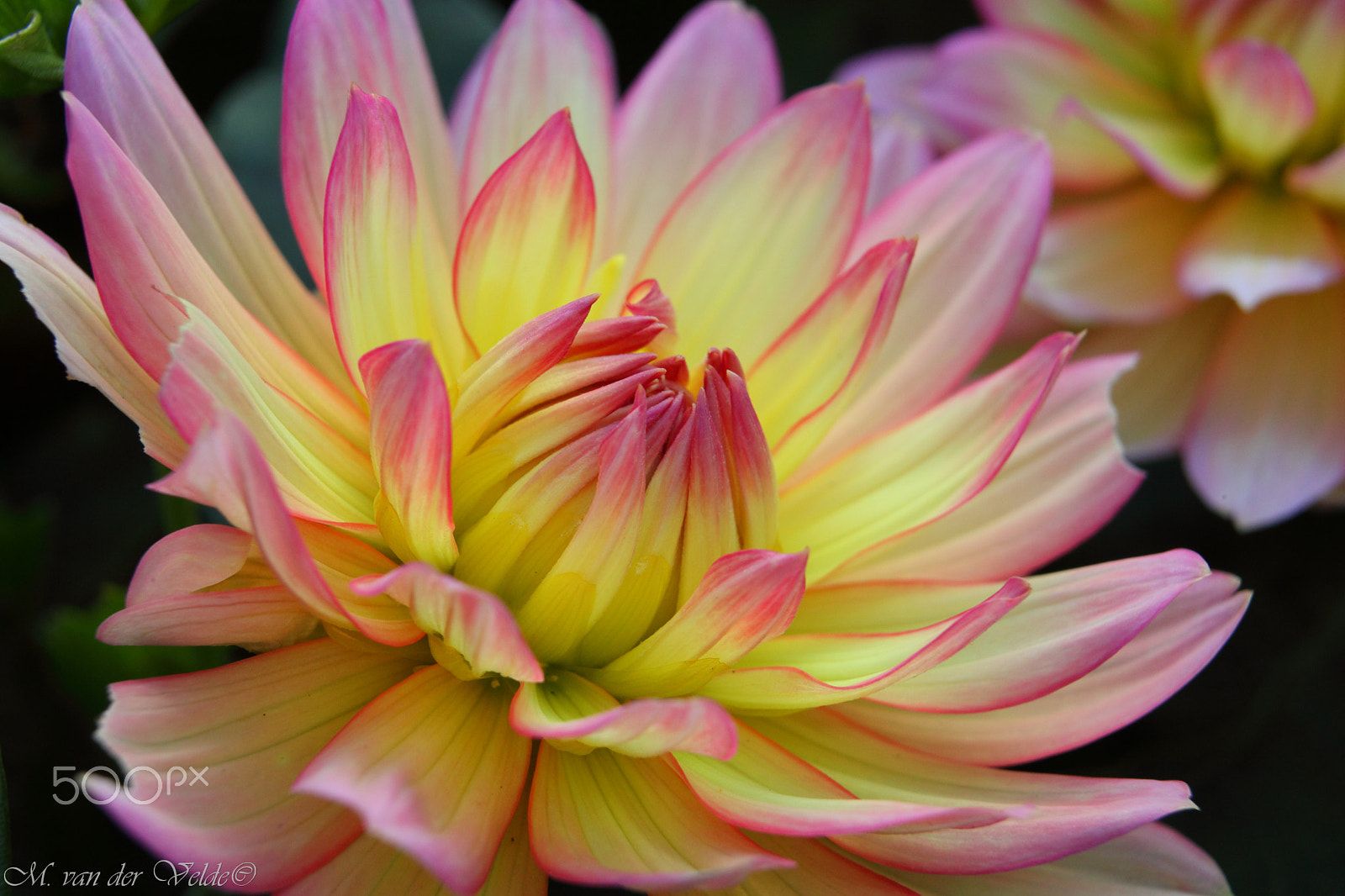 Canon EF 35-350mm F3.5-5.6L USM sample photo. The rising sun photography