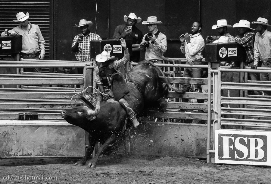 150-600mm F5-6.3 DG OS HSM | Contemporary 015 sample photo. Cowboys of color rodeo photography