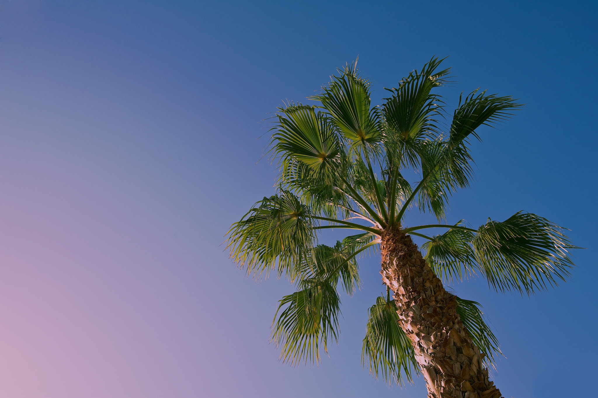 Nikon D3S sample photo. Tropical summer photography