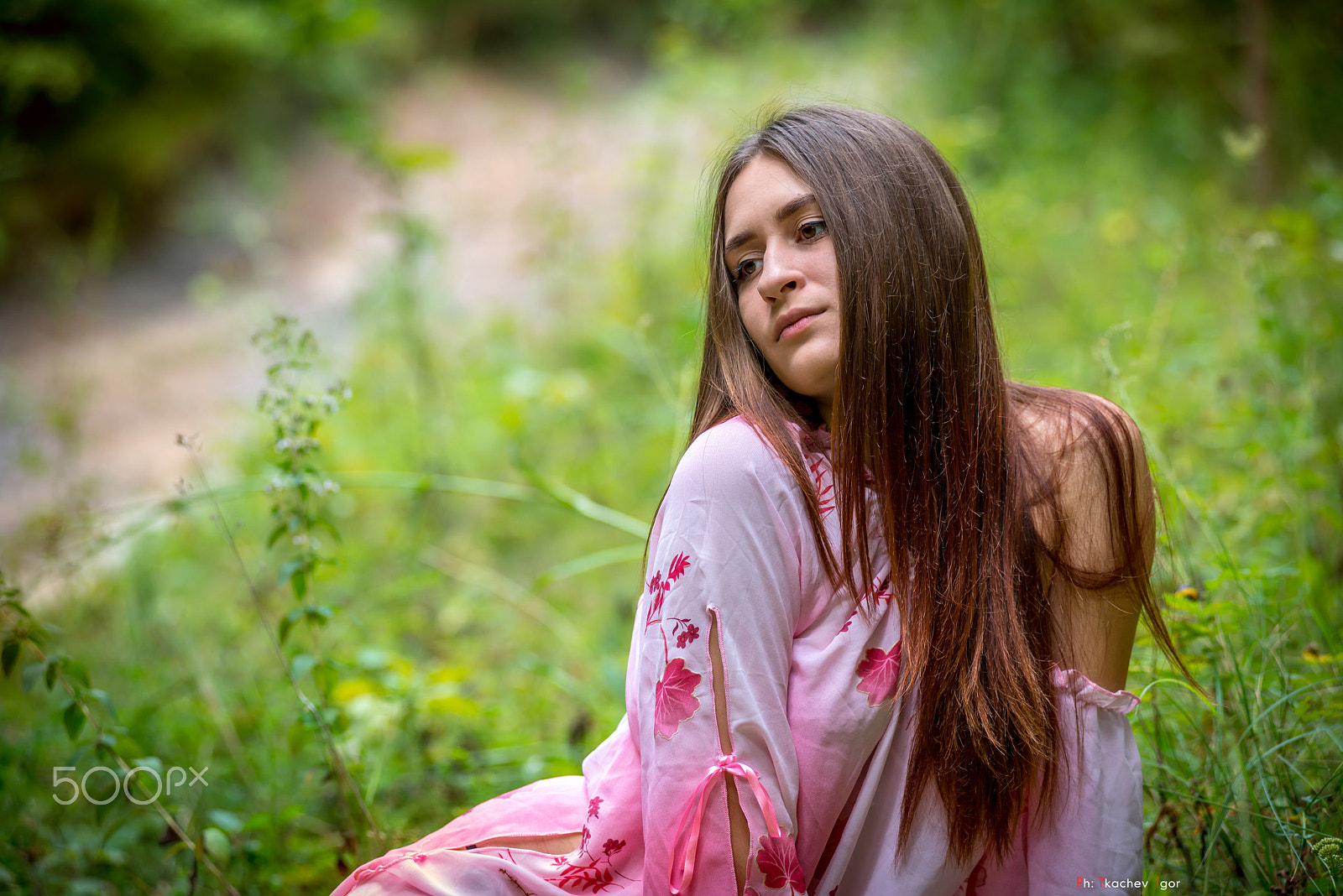 Nikon AF-Nikkor 80-200mm F2.8D ED sample photo. Дикая природа photography