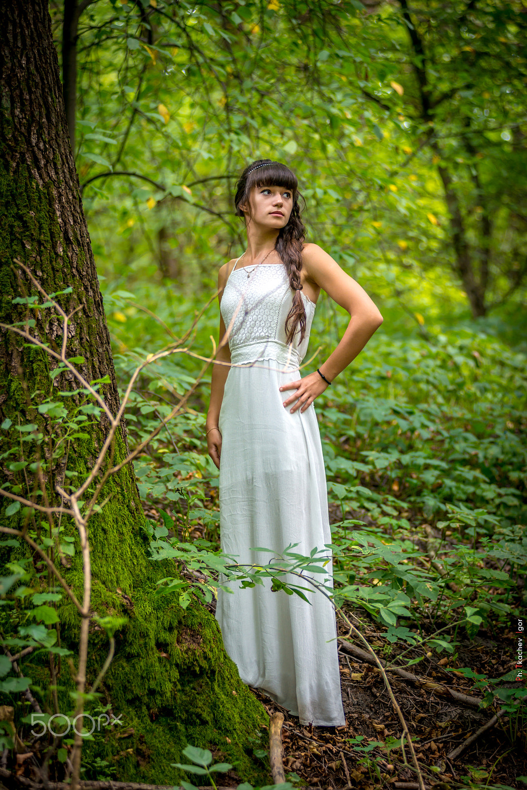 Nikon AF-Nikkor 80-200mm F2.8D ED sample photo. Дикая природа photography