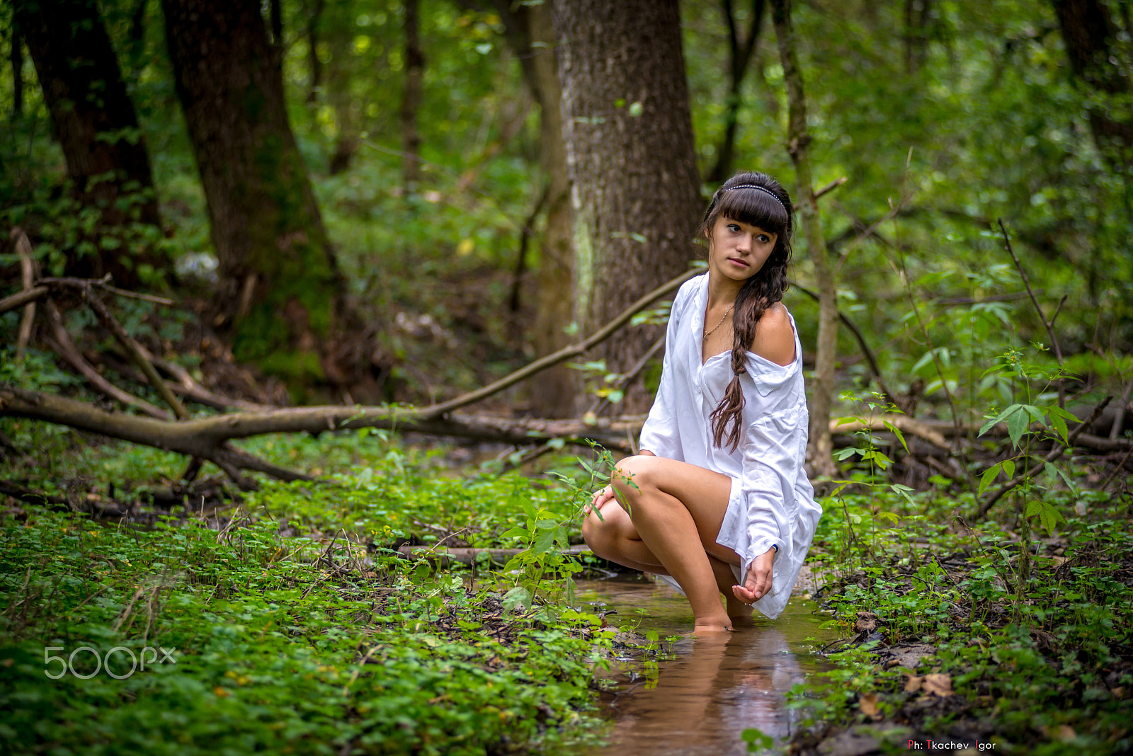 Nikon AF-Nikkor 80-200mm F2.8D ED sample photo. Дикая природа photography