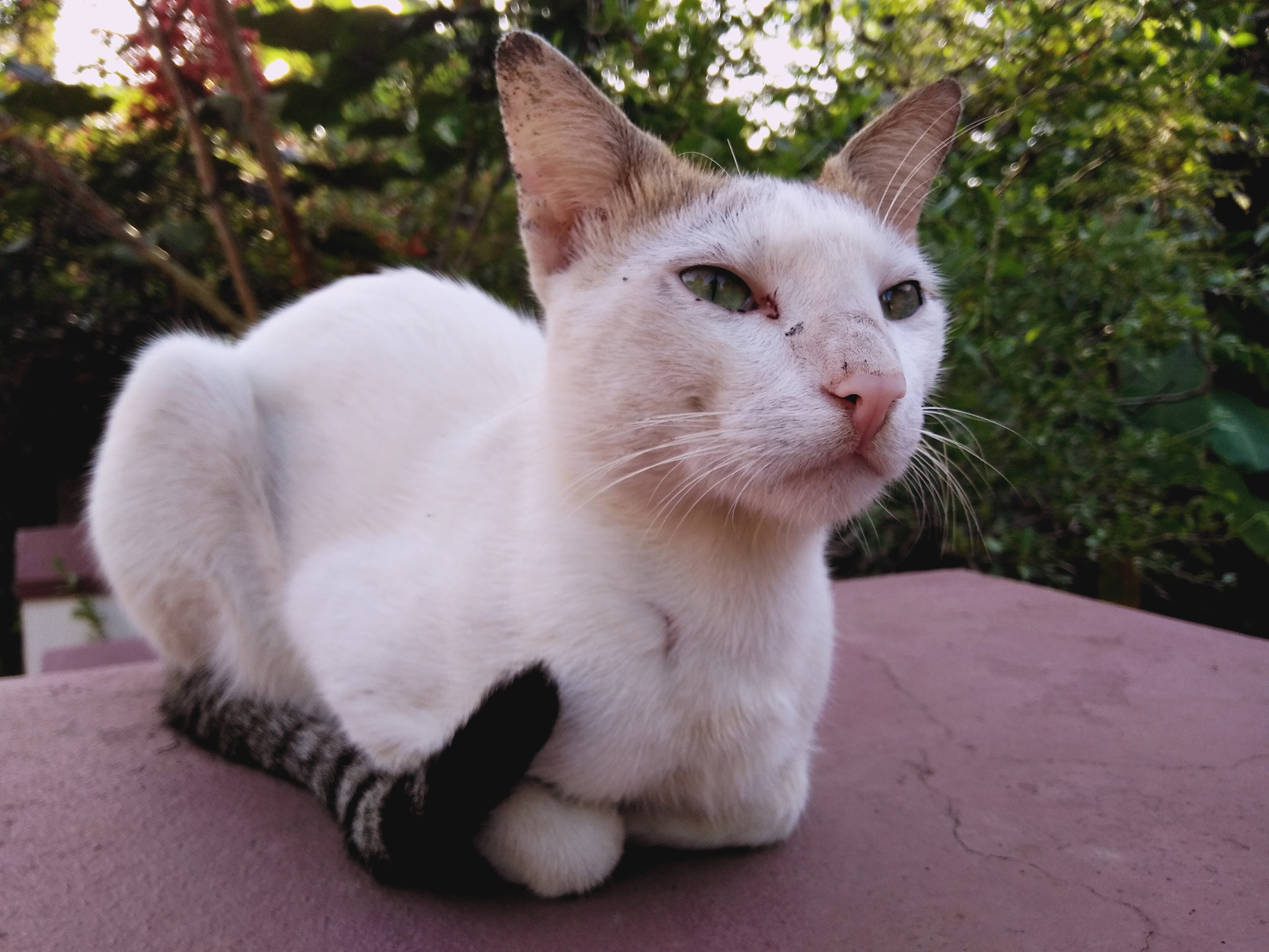 LeMobile Le X526 sample photo