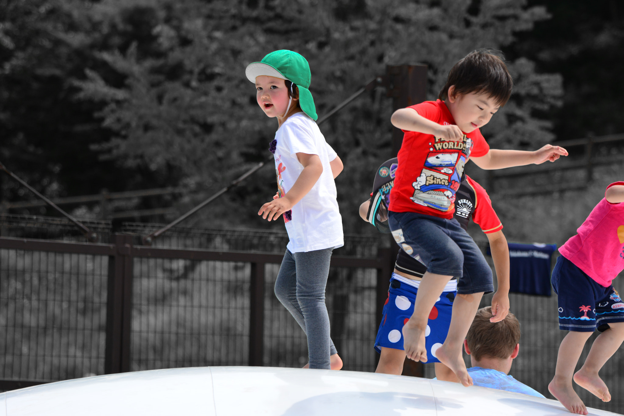 Sigma 50-500mm F4.5-6.3 DG OS HSM sample photo. 楽しいね photography