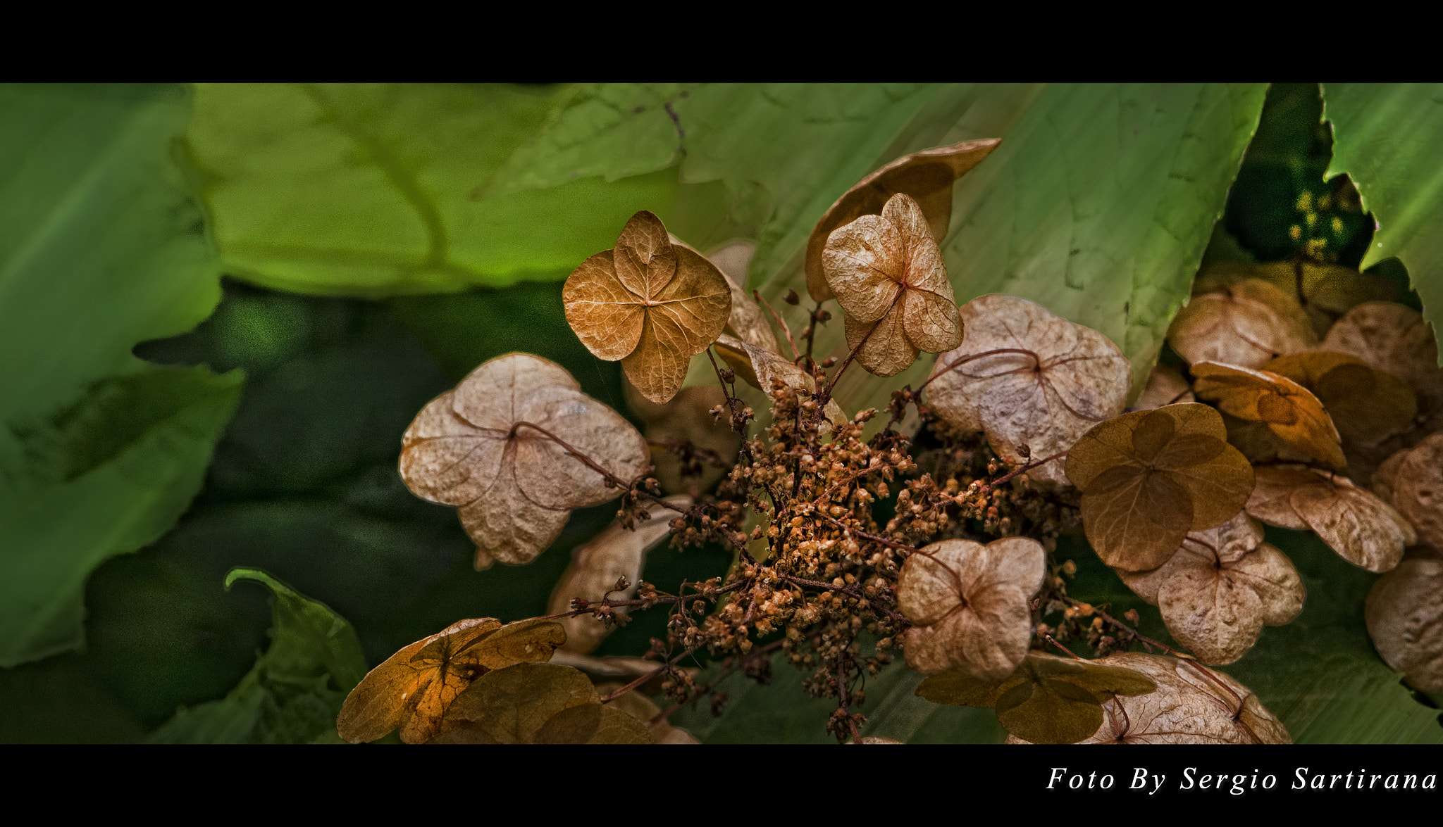 Nikon AF-S DX Micro-Nikkor 85mm F3.5G ED VR sample photo. Verso l'autunno photography