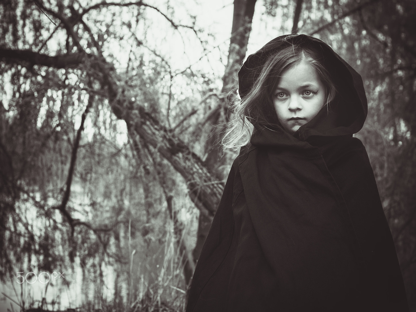 Sigma 30mm F1.4 EX DC HSM sample photo. Girl in the forest photography