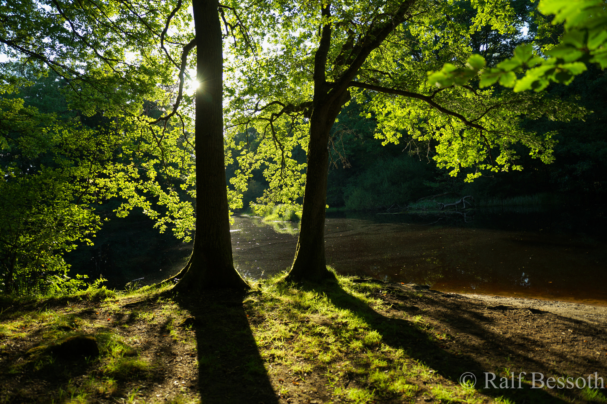 Sony a99 II + 24-70mm F2.8-2.8 SSM sample photo. Silence photography