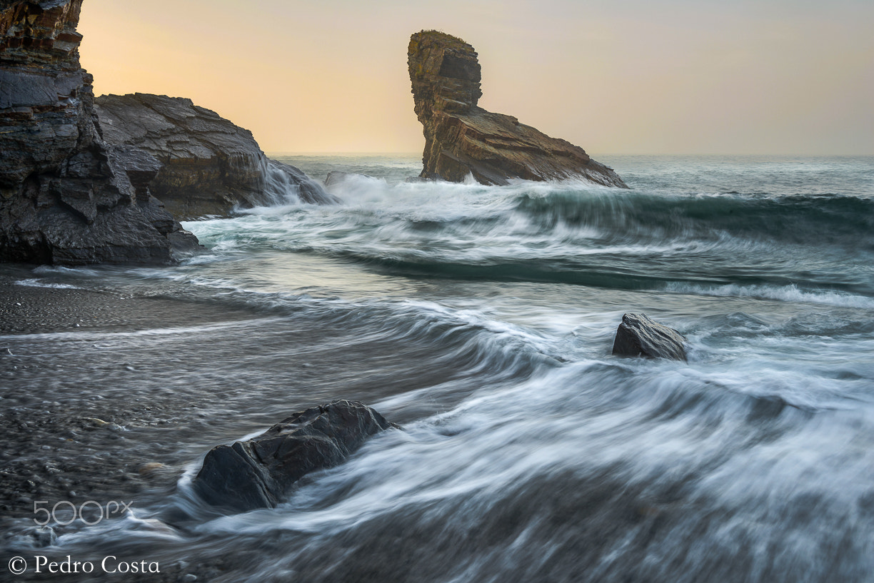 Nikon D610 + Tokina AT-X 17-35mm F4 Pro FX sample photo. Classical portizuelo. photography