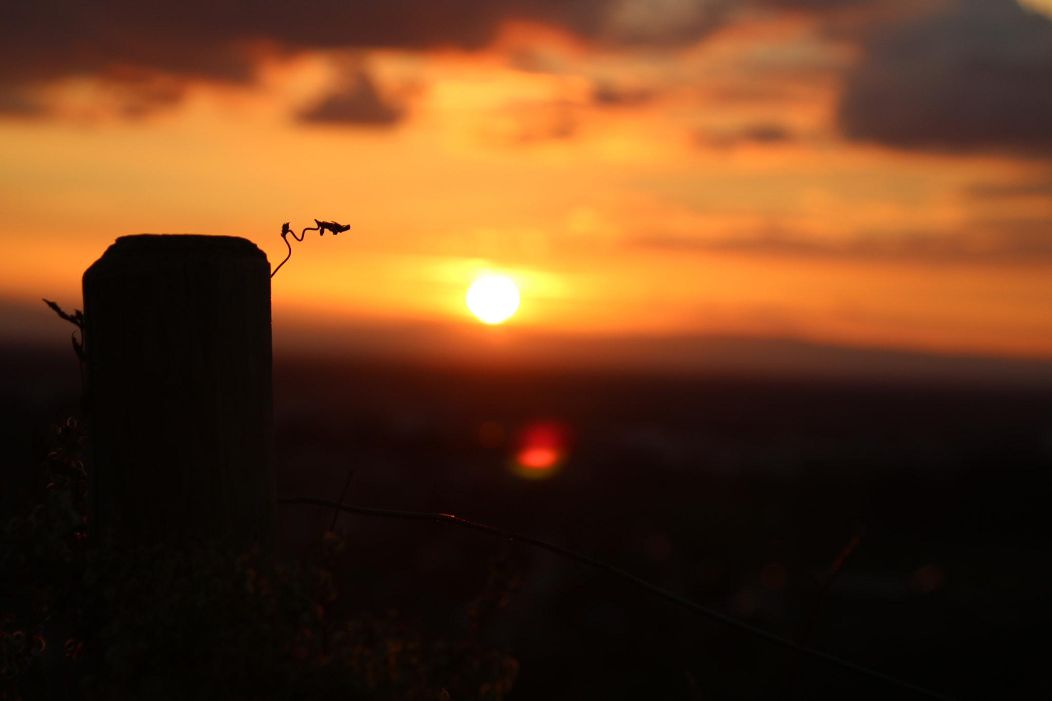 Canon EOS 750D (EOS Rebel T6i / EOS Kiss X8i) + Canon TS-E 90mm F2.8 Tilt-Shift sample photo. Sunrise germany photography