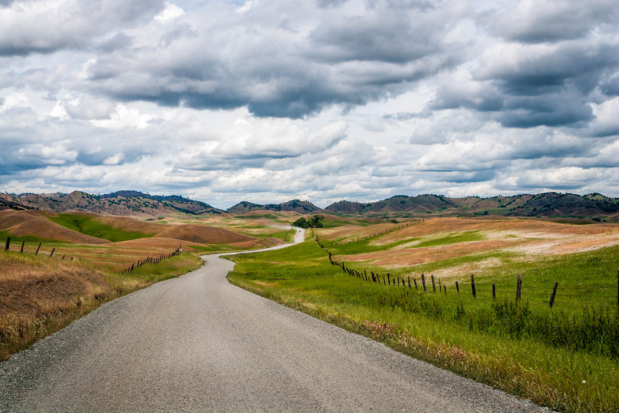 Canon EOS-1D Mark II sample photo. Country road photography
