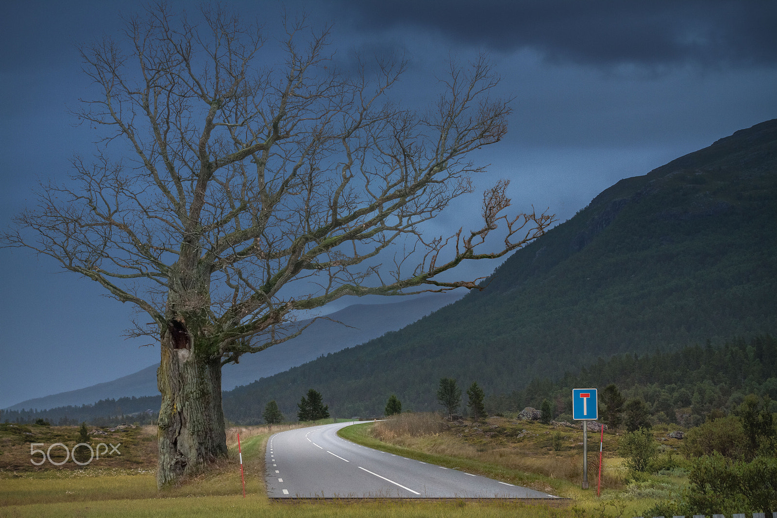 Canon EF 28-80mm f/2.8-4L sample photo. Loop photography