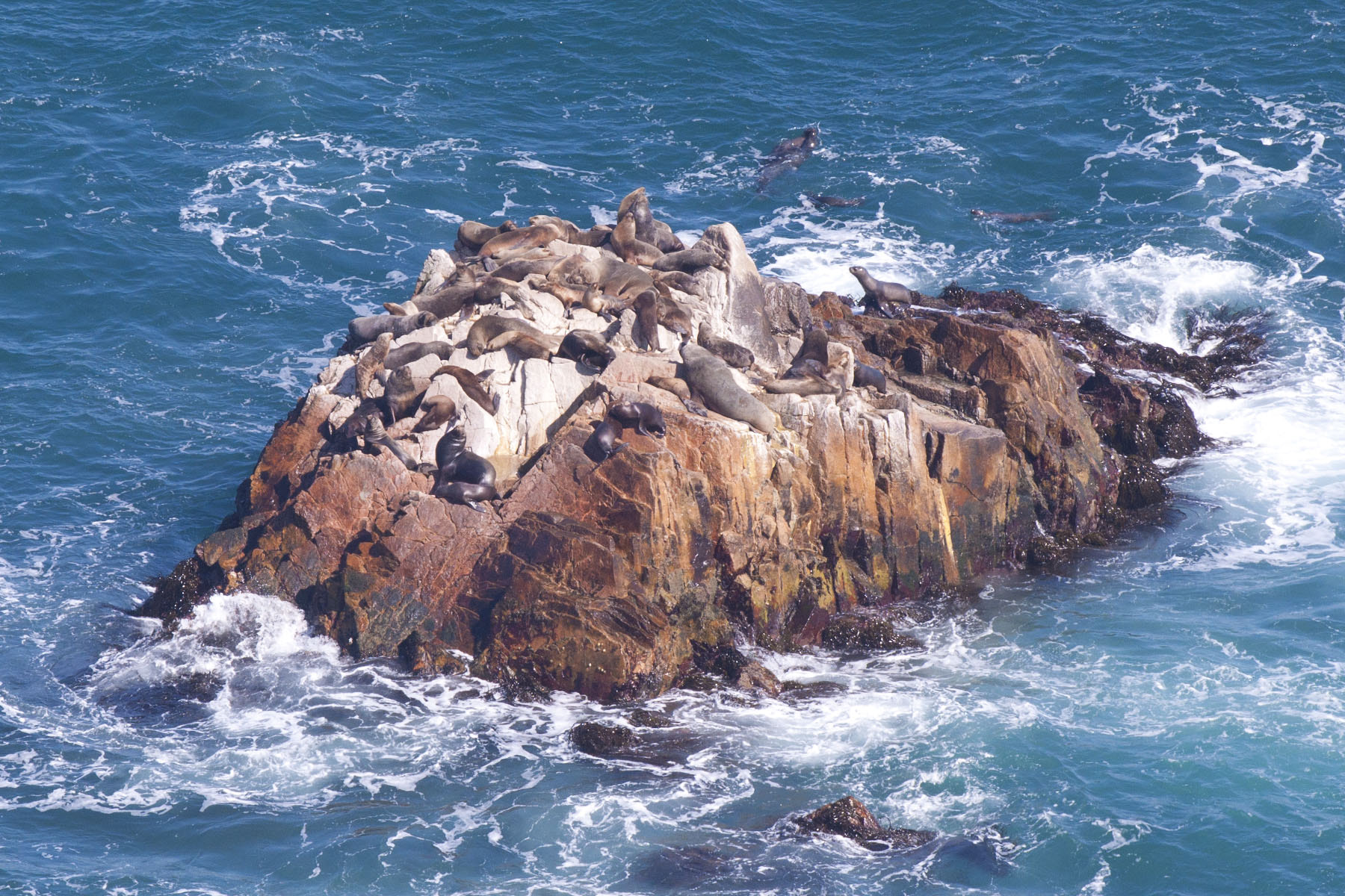 Nikon AF-S Nikkor 70-200mm F2.8G ED VR II sample photo. Punta lobos photography