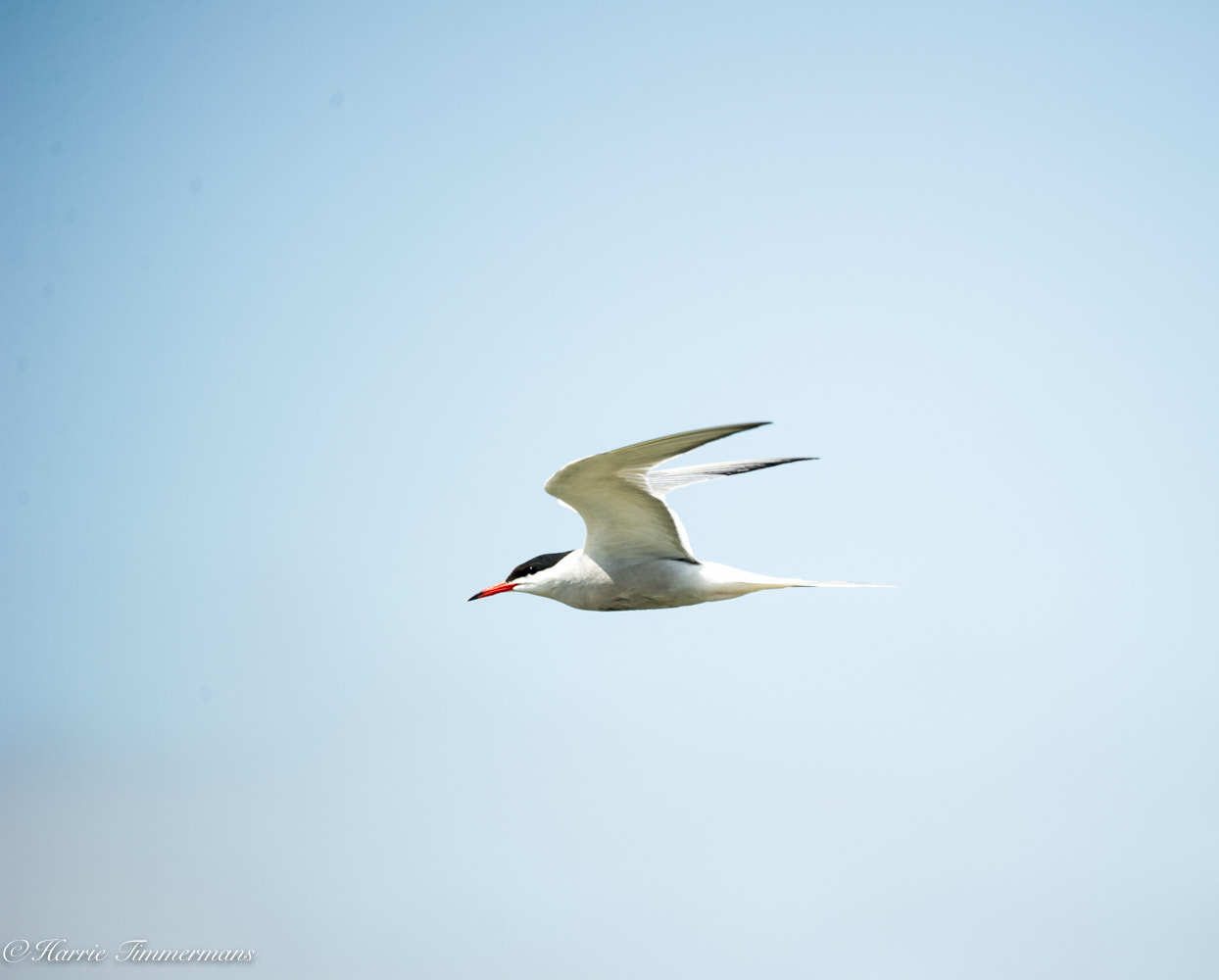 Nikon D3S sample photo. Hti photography