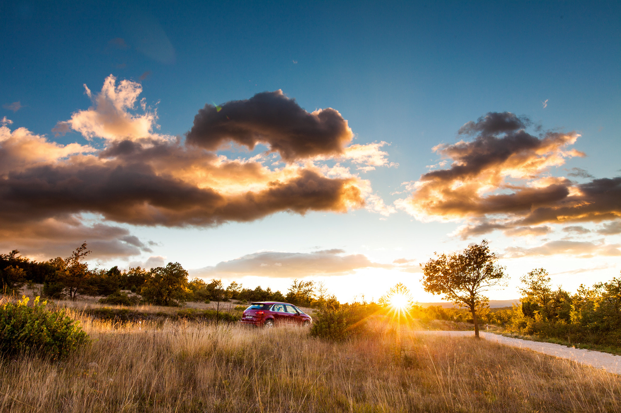 Sigma 24mm F1.4 DG HSM Art sample photo. Early autumn photography