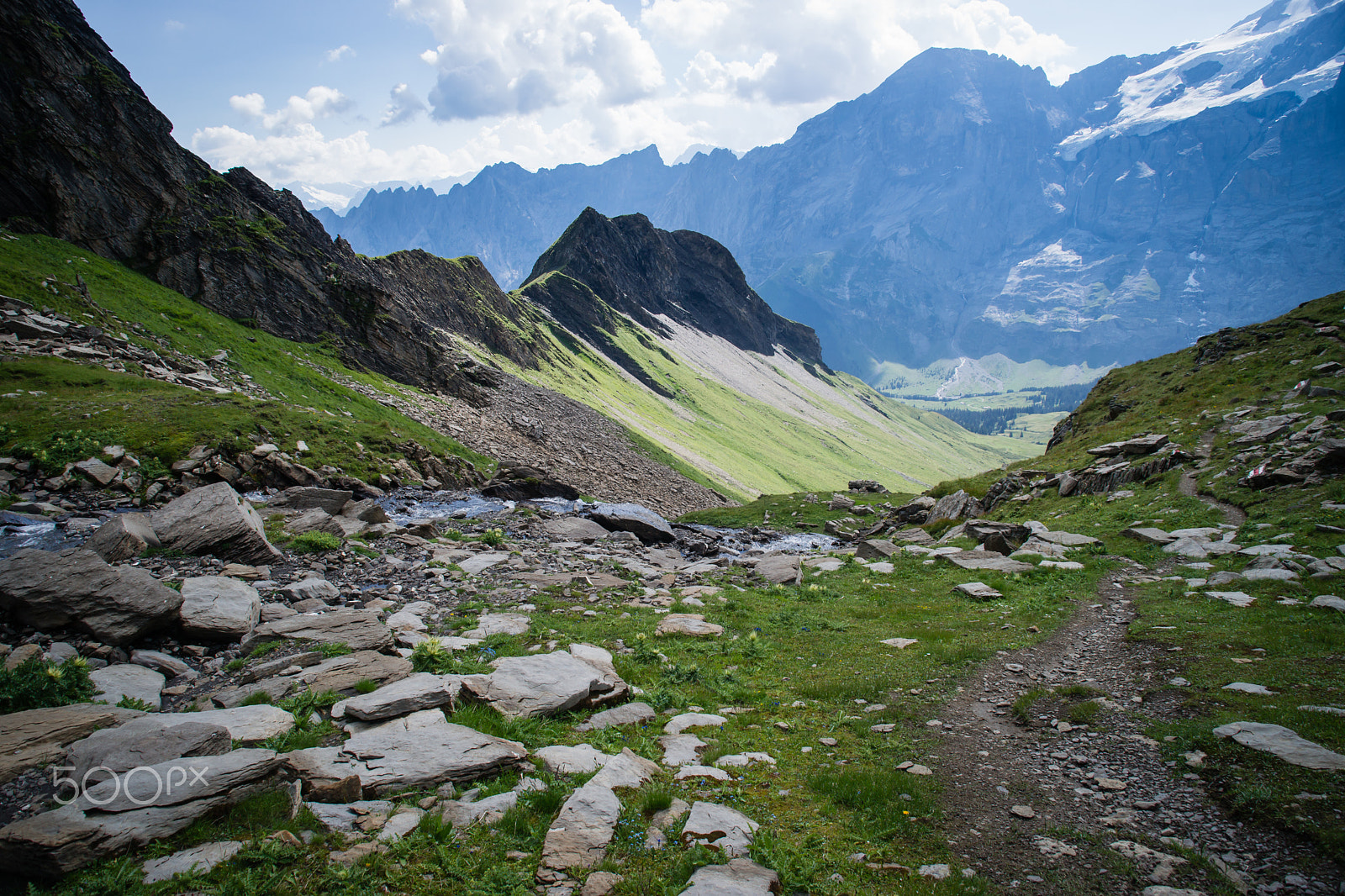Minolta/Sony AF 24-105mm F3.5-4.5 (D) sample photo. Wildgärst - switzerland 2500m photography