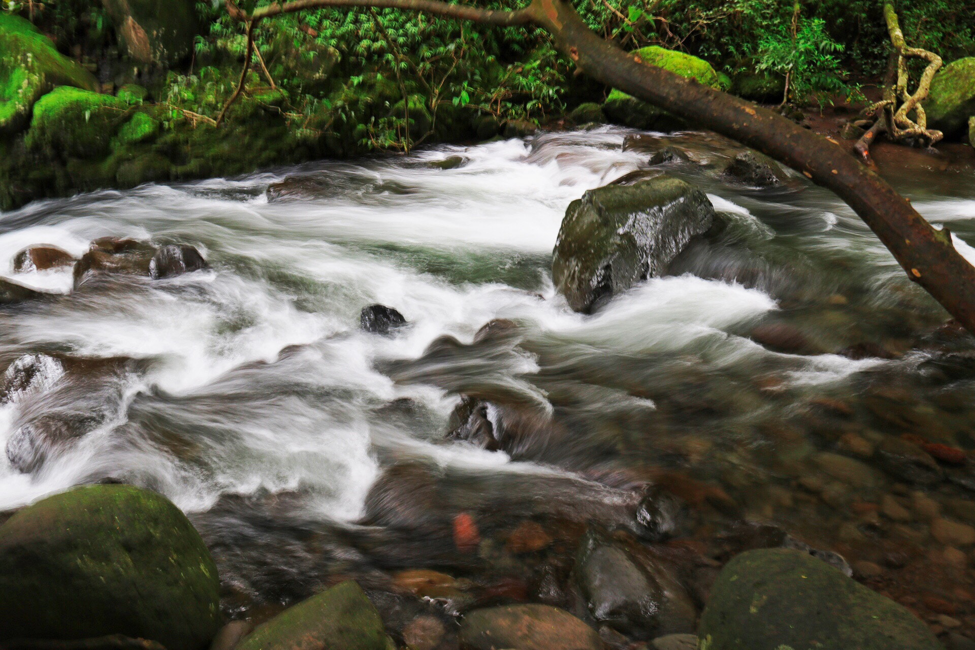 Canon EF-S 18-200mm F3.5-5.6 IS sample photo