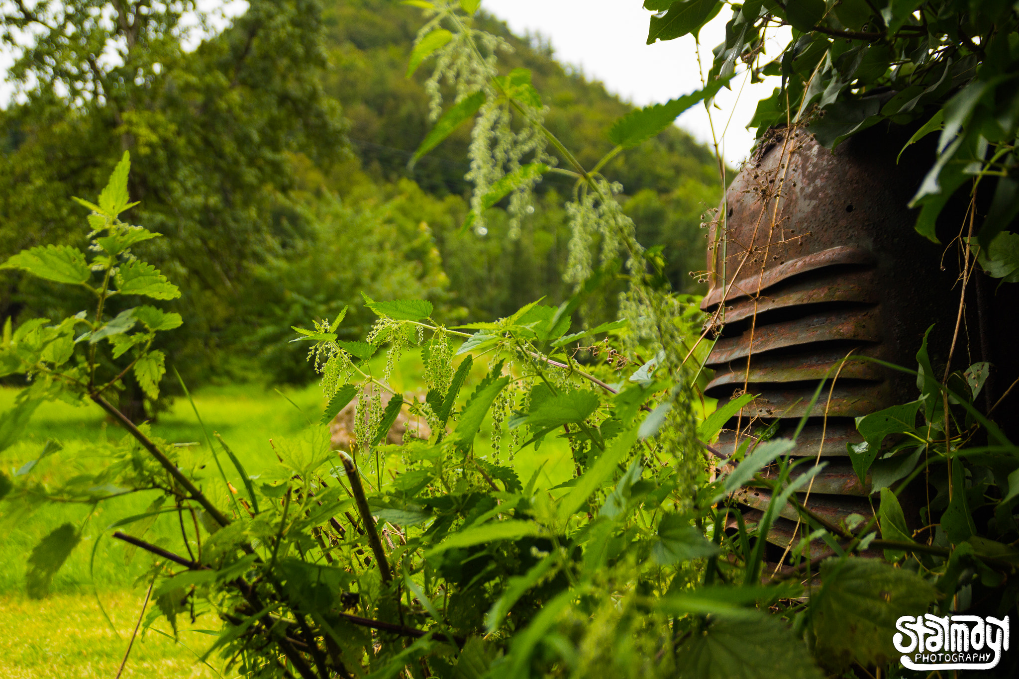 Canon EOS 650D (EOS Rebel T4i / EOS Kiss X6i) sample photo. Tractor photography