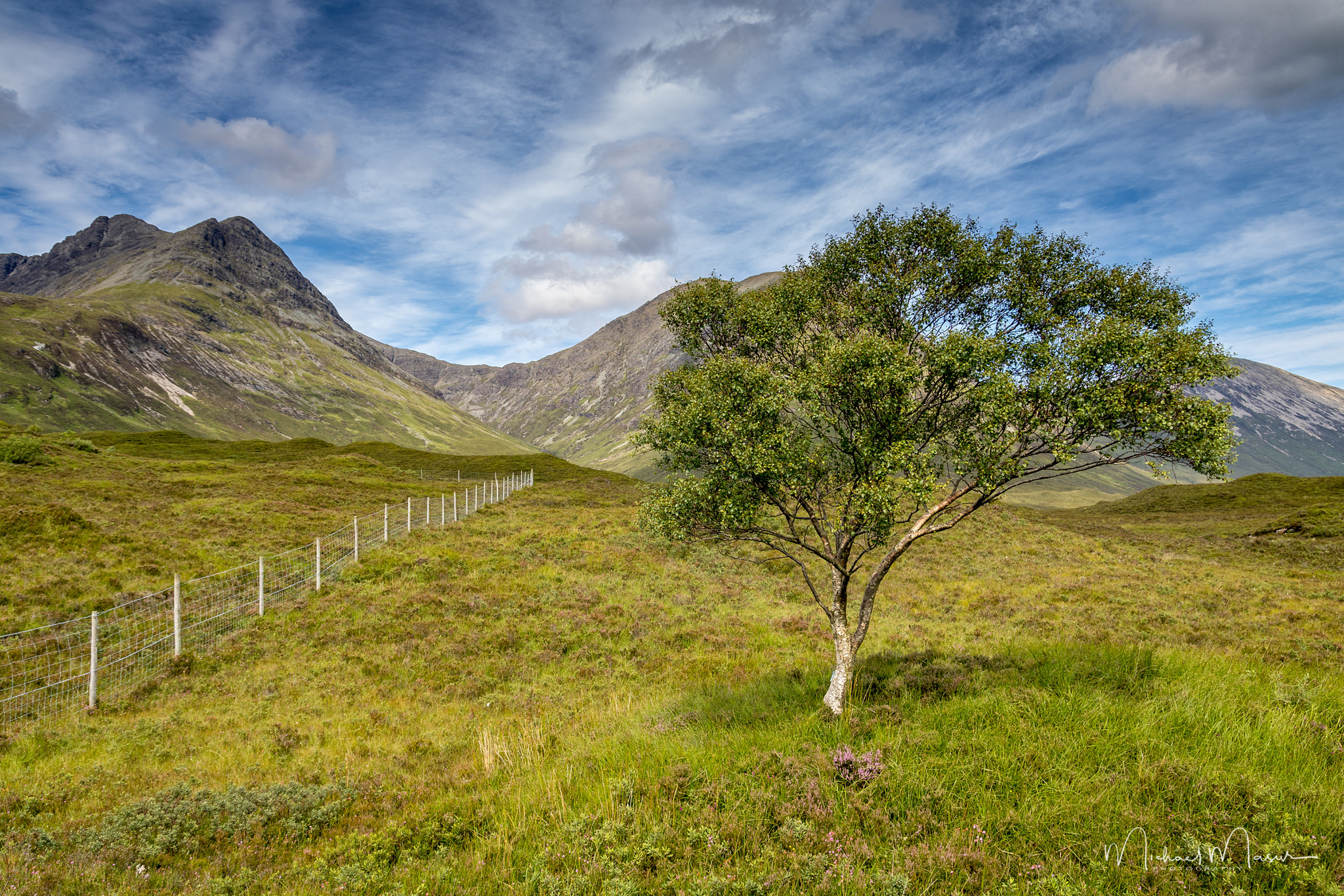 Tamron SP AF 17-50mm F2.8 XR Di II LD Aspherical (IF) sample photo. [blà bheinn tree] photography