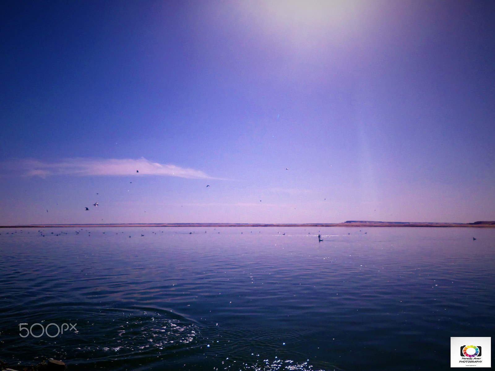 Samsung WB30F/WB31F/WB32F sample photo. Egypt: lake qarun (birket qarun) in the fayoum photography