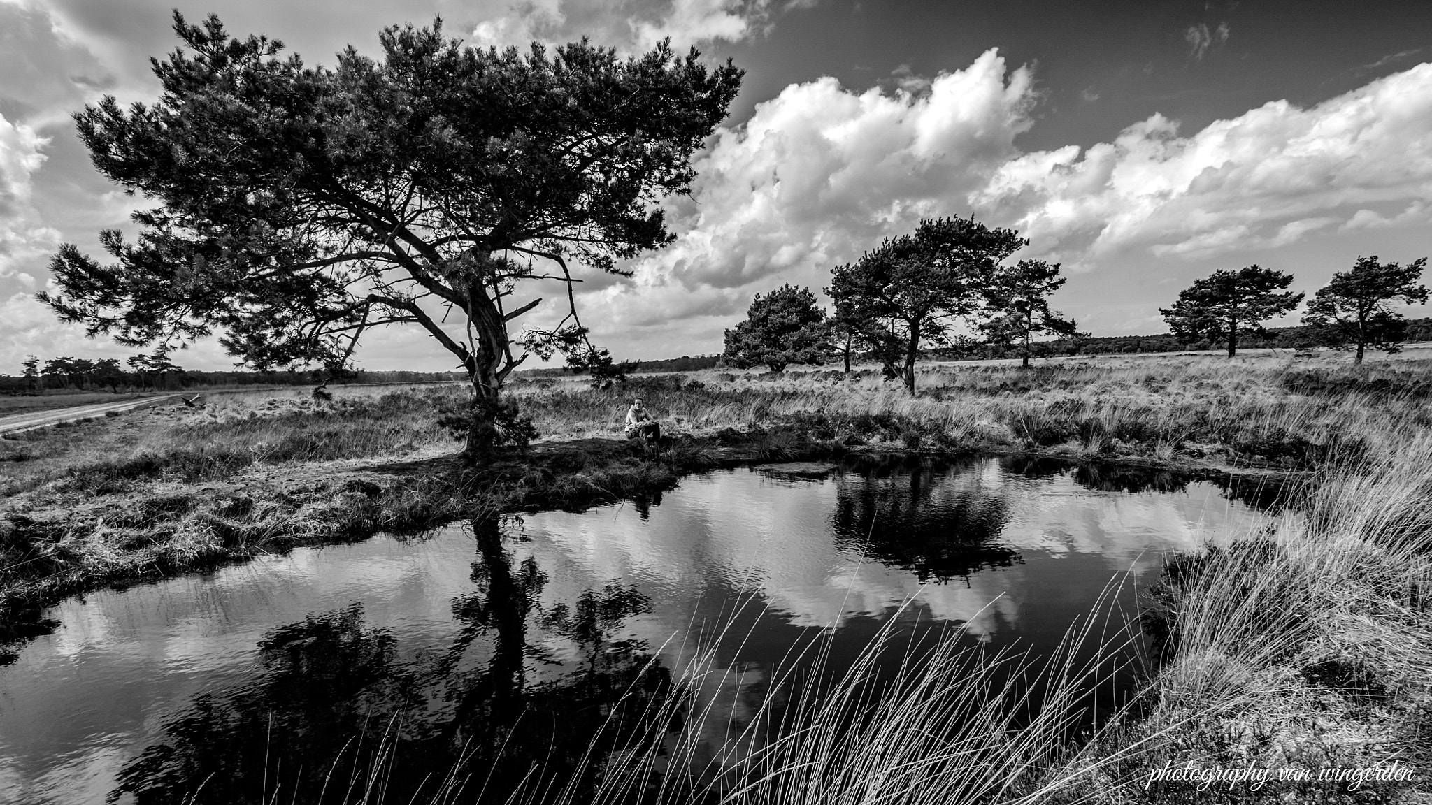 Panasonic Lumix DMC-GX7 + Panasonic Lumix G Vario 7-14mm F4 ASPH sample photo. Kalmthoutseheide photography