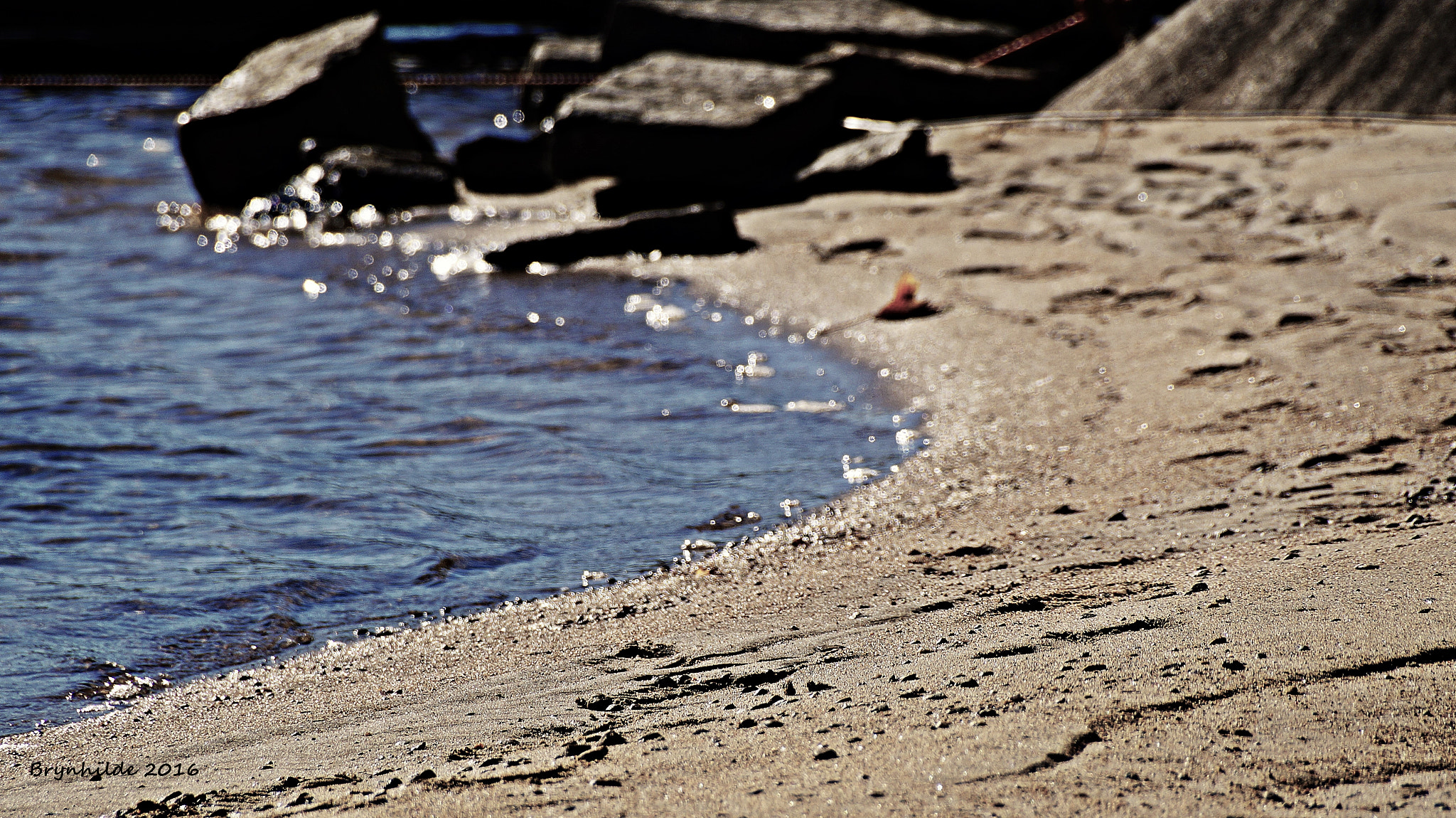 Sony DT 18-250mm F3.5-6.3 sample photo