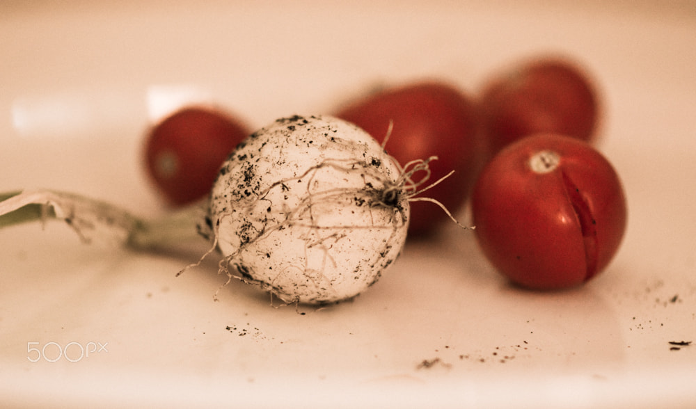 Nikon D5500 + Nikon AF-S Nikkor 85mm F1.8G sample photo. Ripe tomatoes and an onion photography