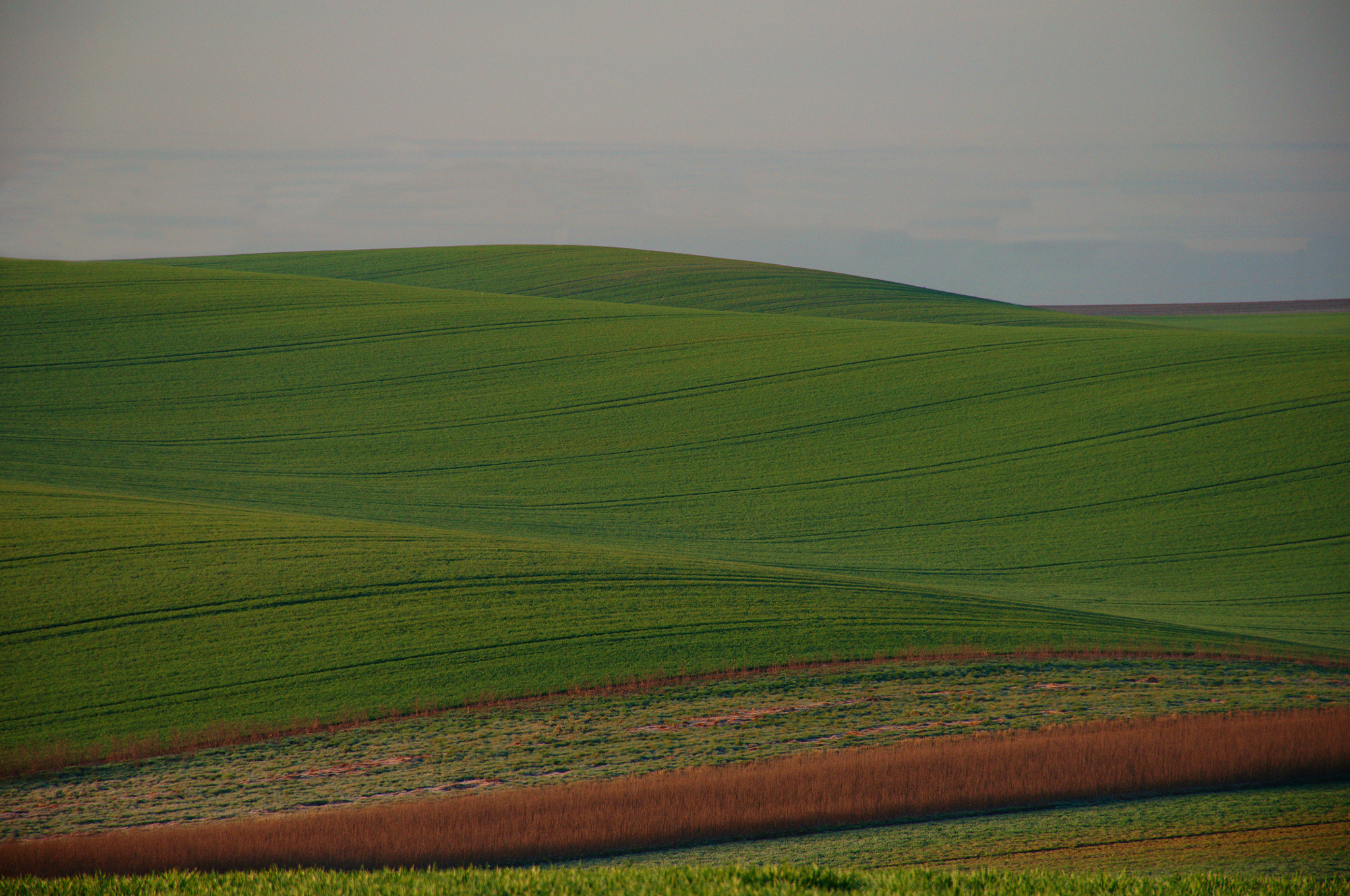 Nikon D5000 sample photo. Foggy morning in moravian tuscany photography