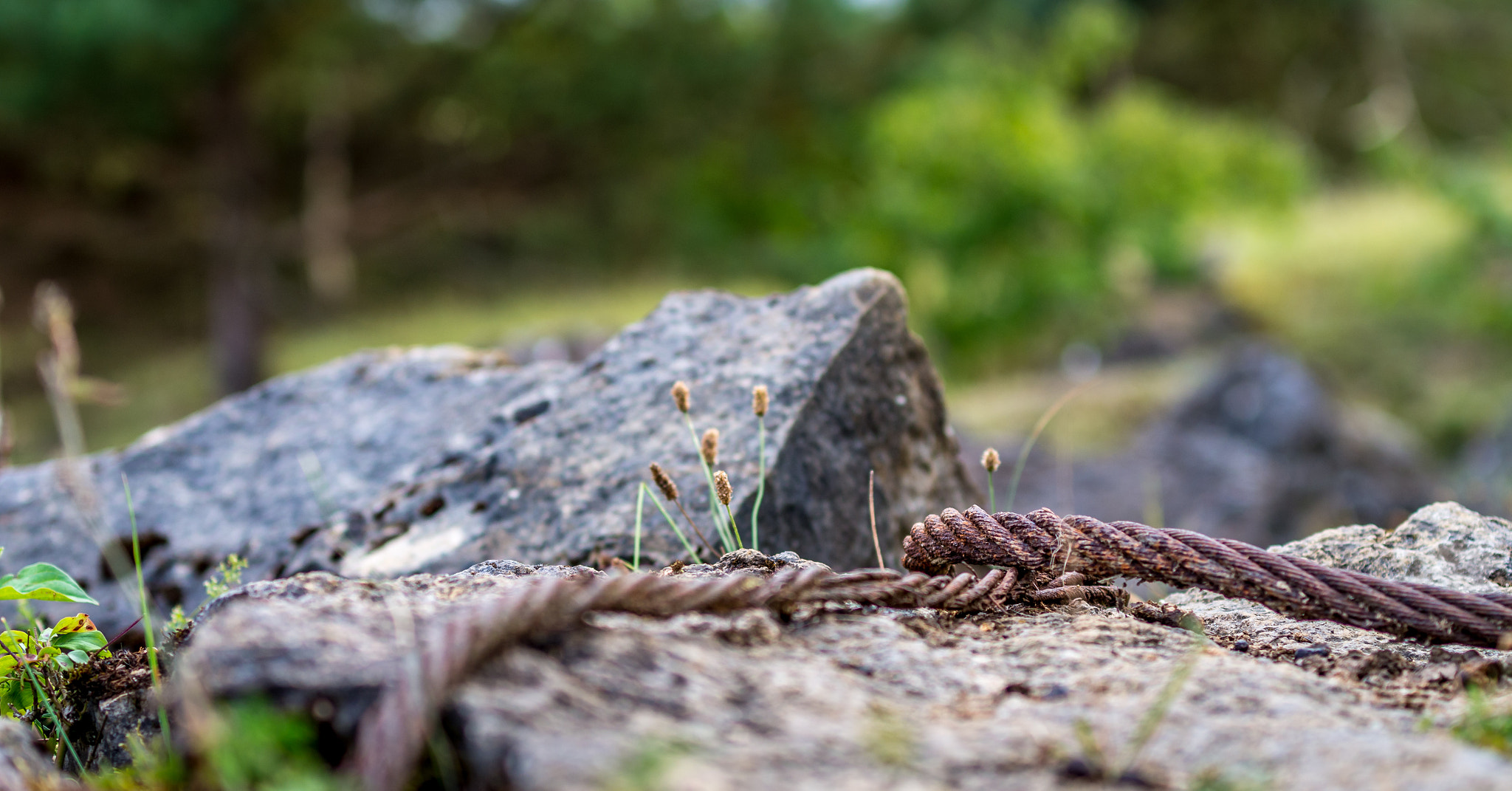 Pentax K-5 II sample photo. Rusty rope photography