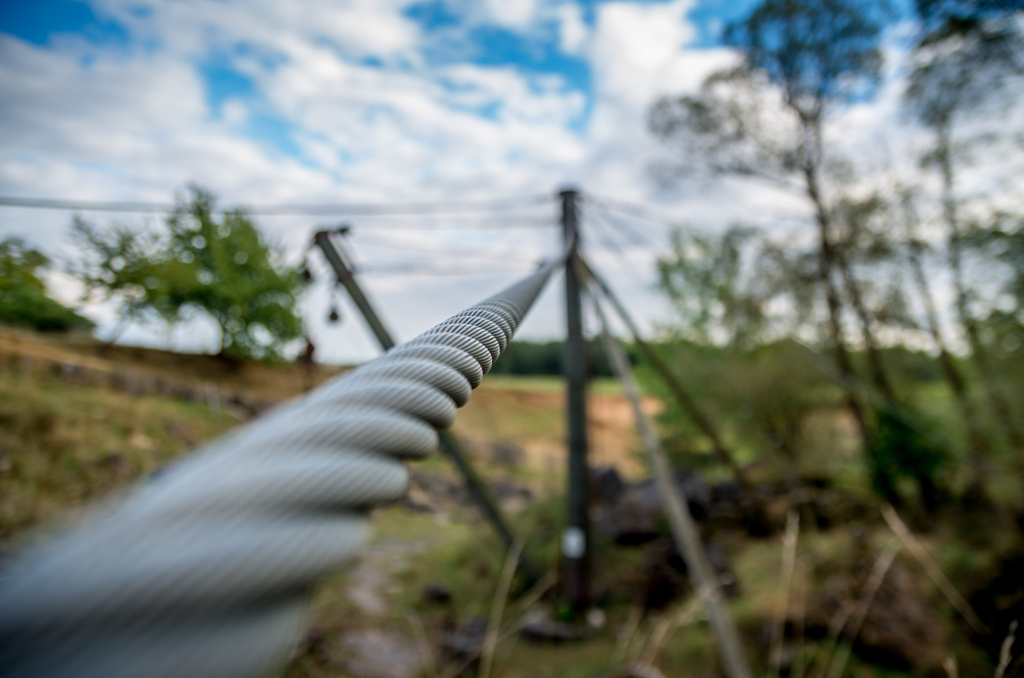 Pentax K-5 II sample photo. Twisted out of focus photography