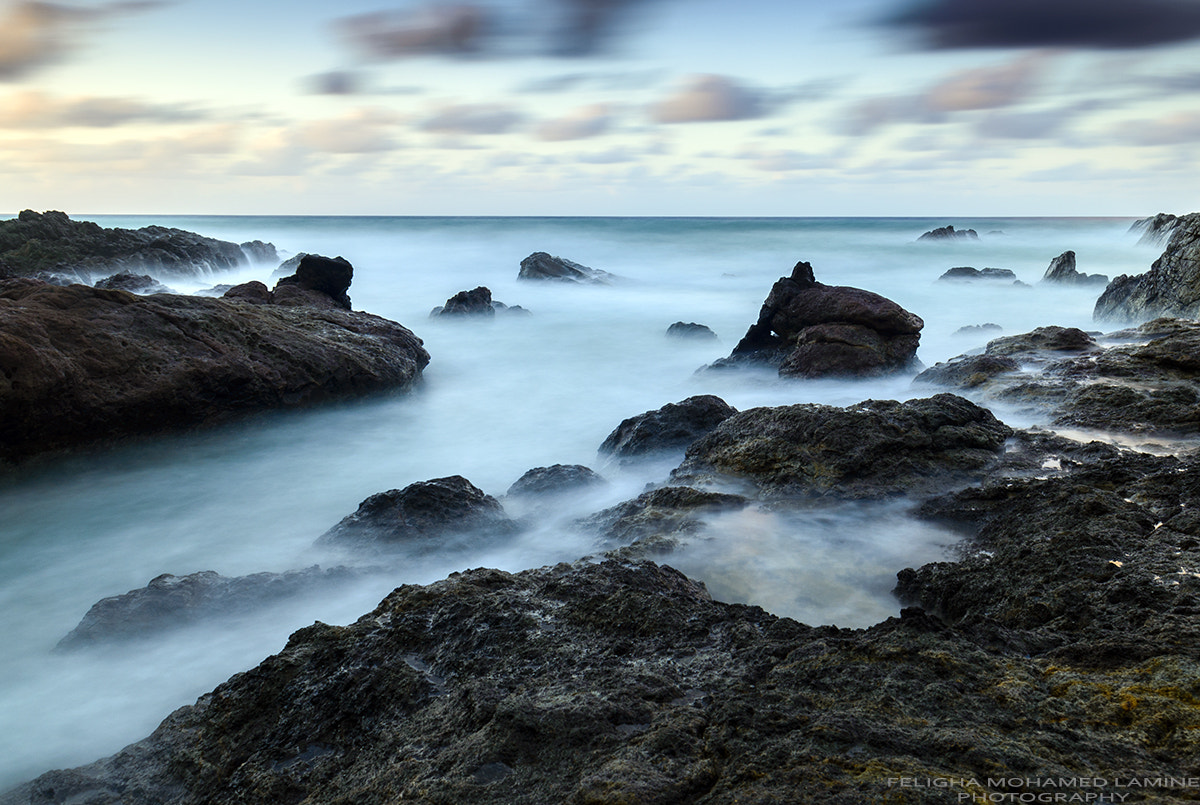 Sigma 18-50mm F2.8-4.5 DC OS HSM sample photo. Tamanart photography
