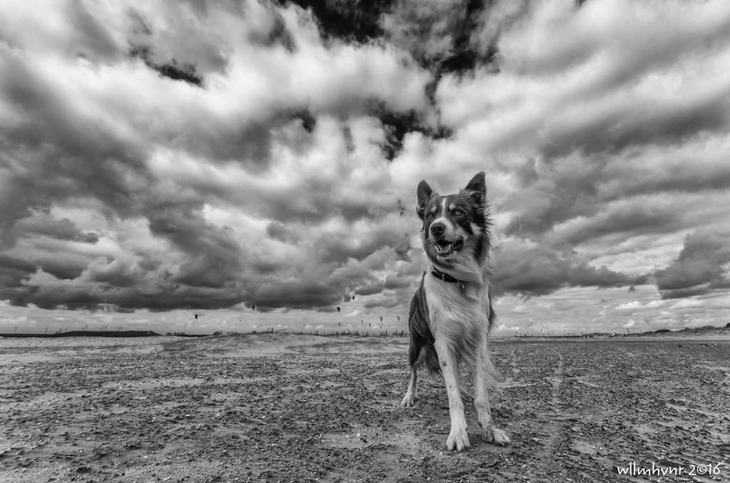 Sigma AF 10-20mm F4-5.6 EX DC sample photo. Head in the clouds photography