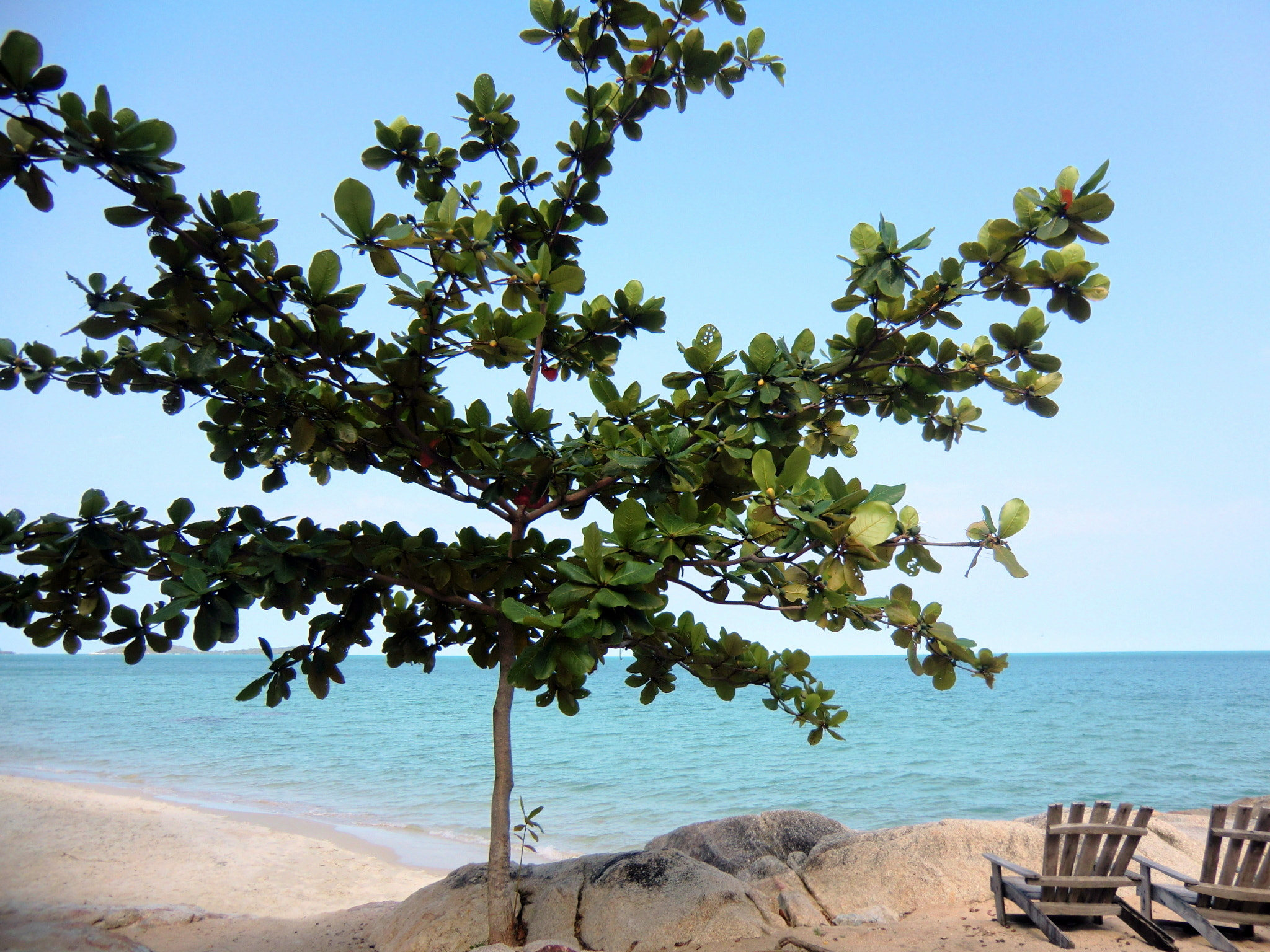 CASIO EX-H15 sample photo. Samui paradise photography