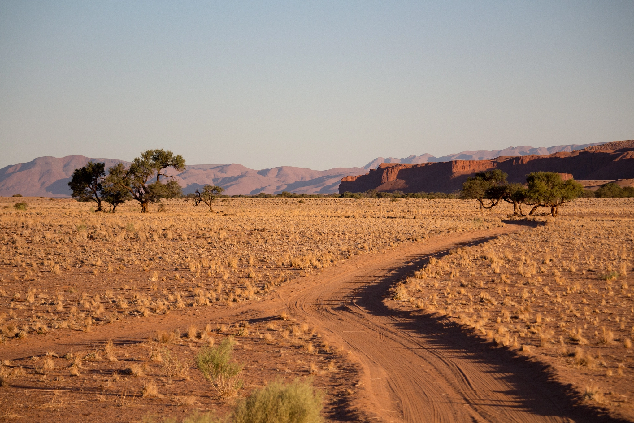 Canon EF-S 55-250mm F4-5.6 IS STM sample photo. Namibia photography