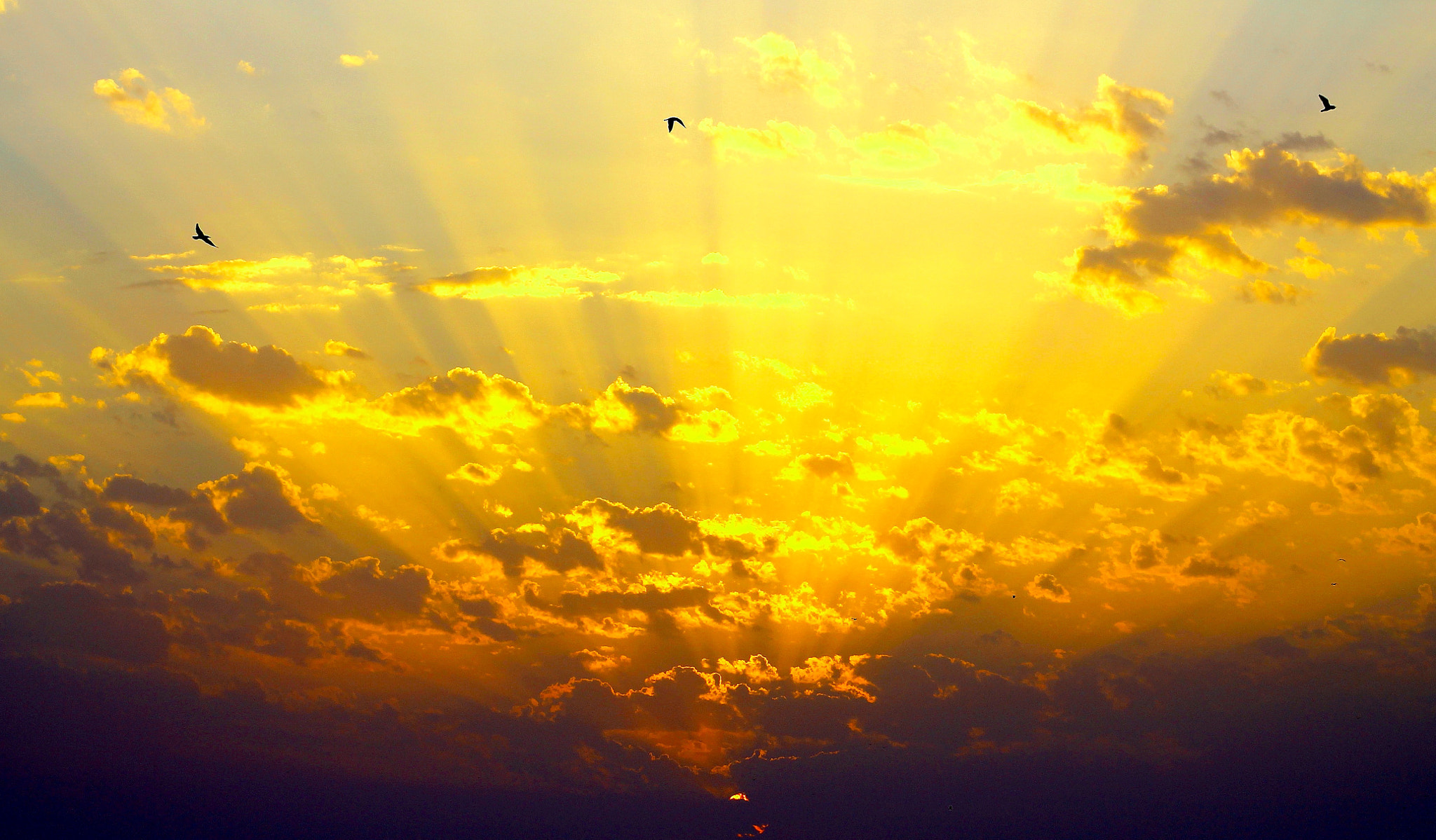 Canon EF75-300mm f/4-5.6 sample photo. Explosive dubai sunset photography