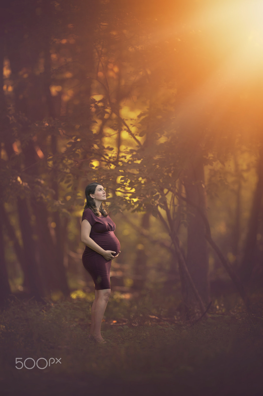 Nikon AF-S Nikkor 200mm F2G ED-IF VR sample photo. Outdoor fall maternity photo photography