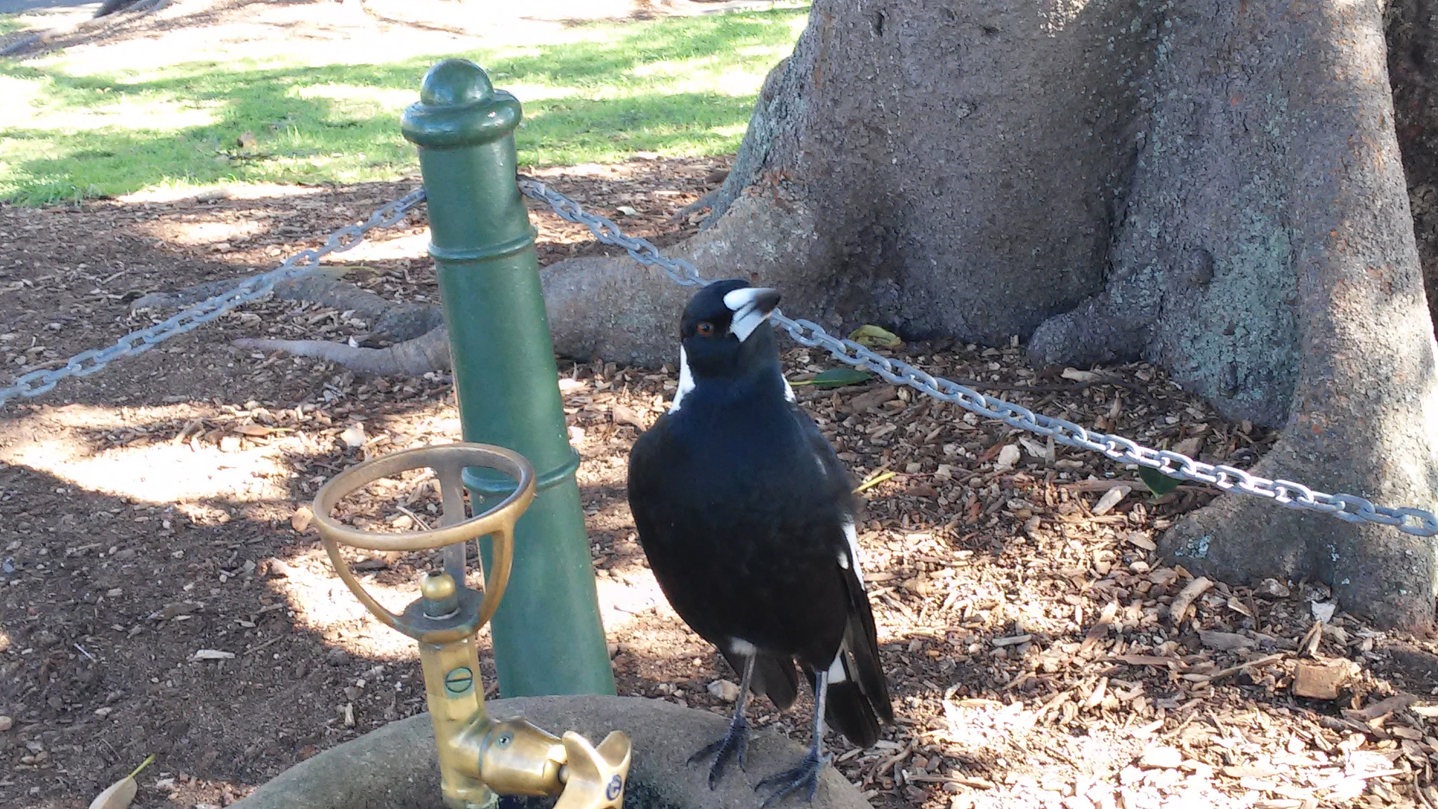 LG G2 MINI sample photo