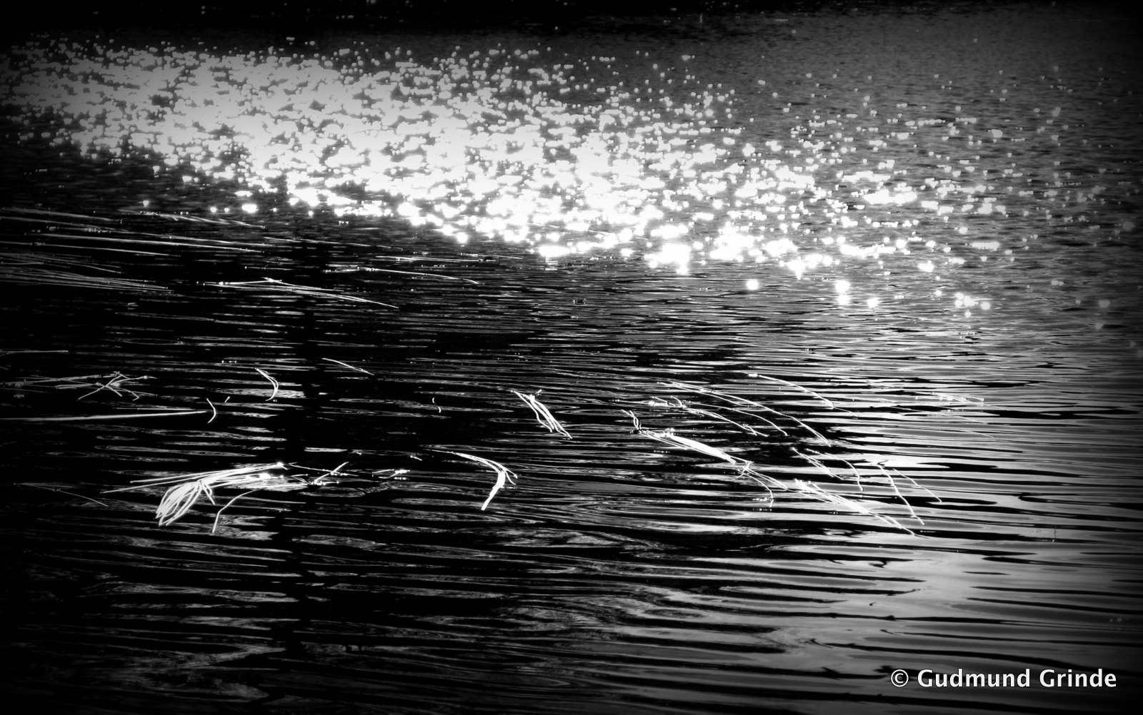 Canon POWERSHOT G7 sample photo. Warm breeze photography