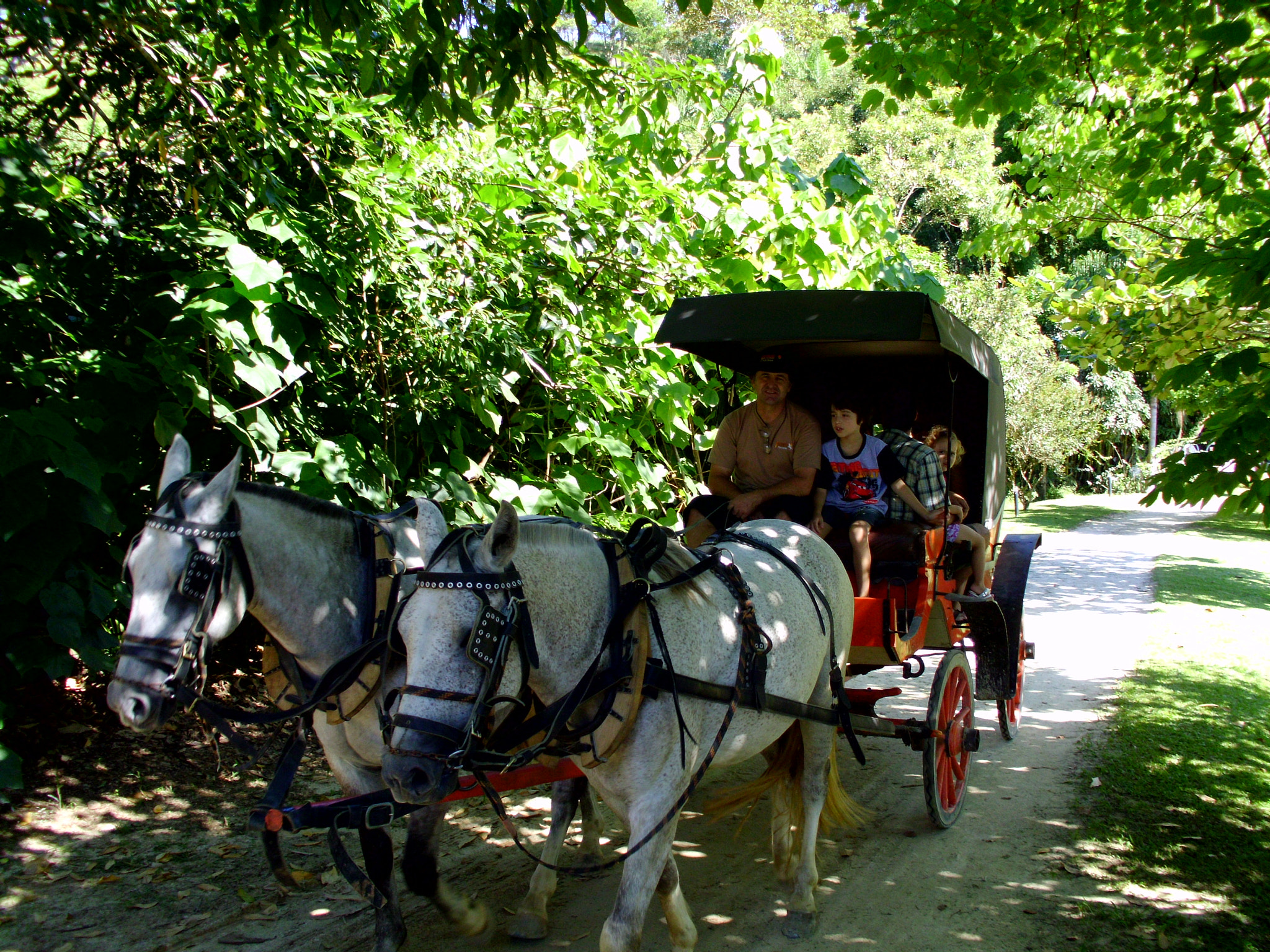 Benq DC C1450 sample photo. Passeio na fazenda photography