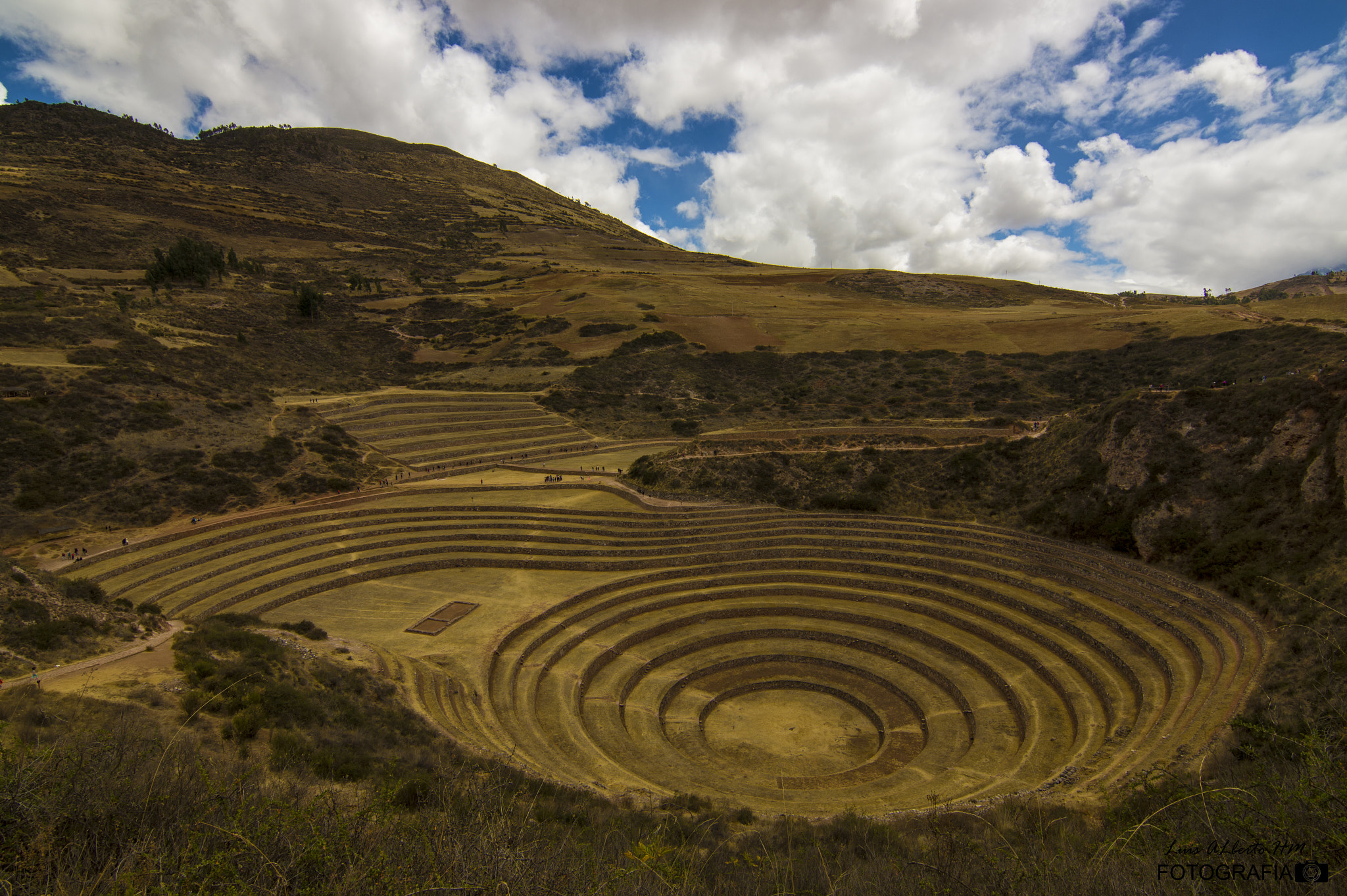 Sony SLT-A58 + 20mm F2.8 sample photo. Moray photography