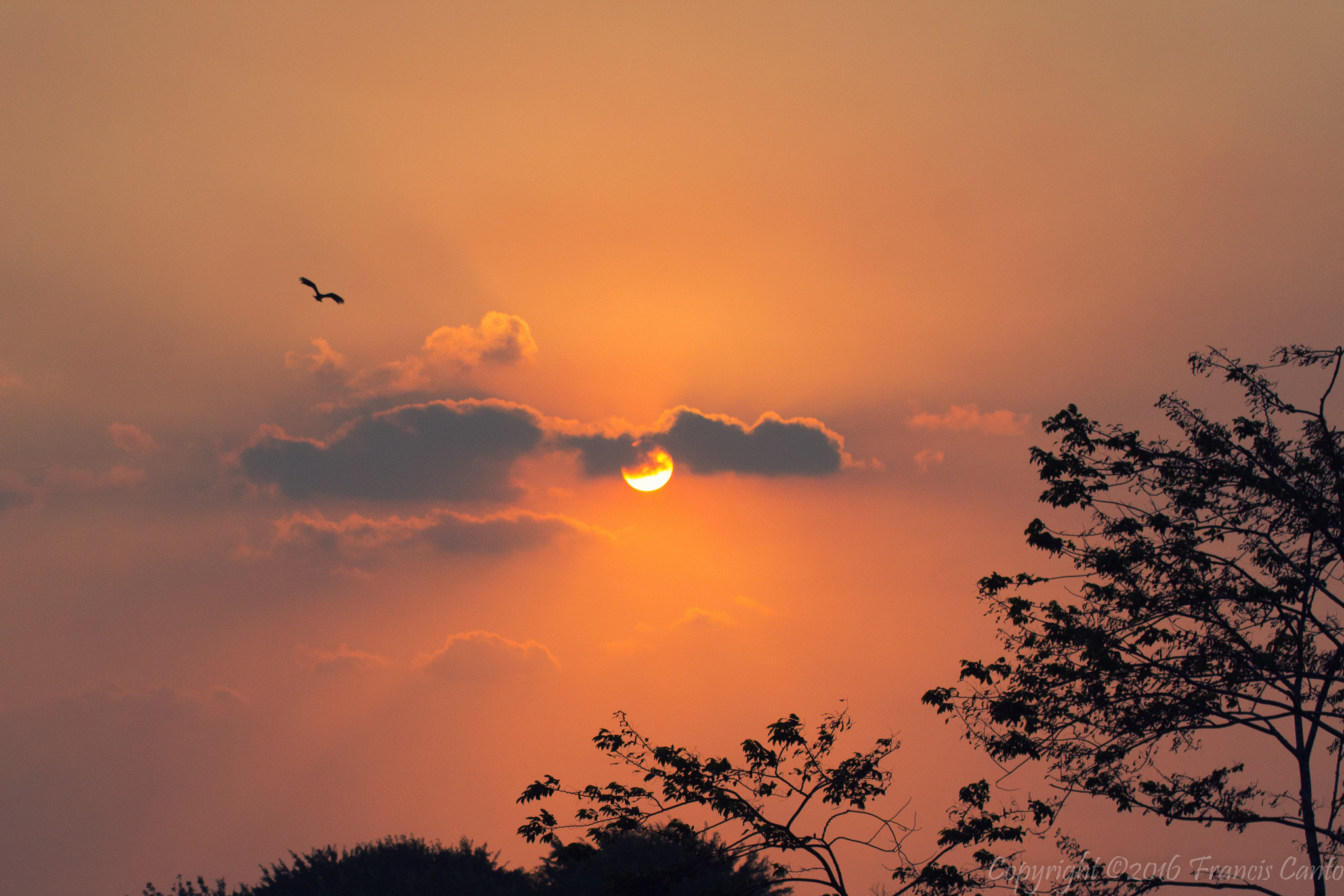 Tamron SP 35mm F1.8 Di VC USD sample photo. Sunset photography