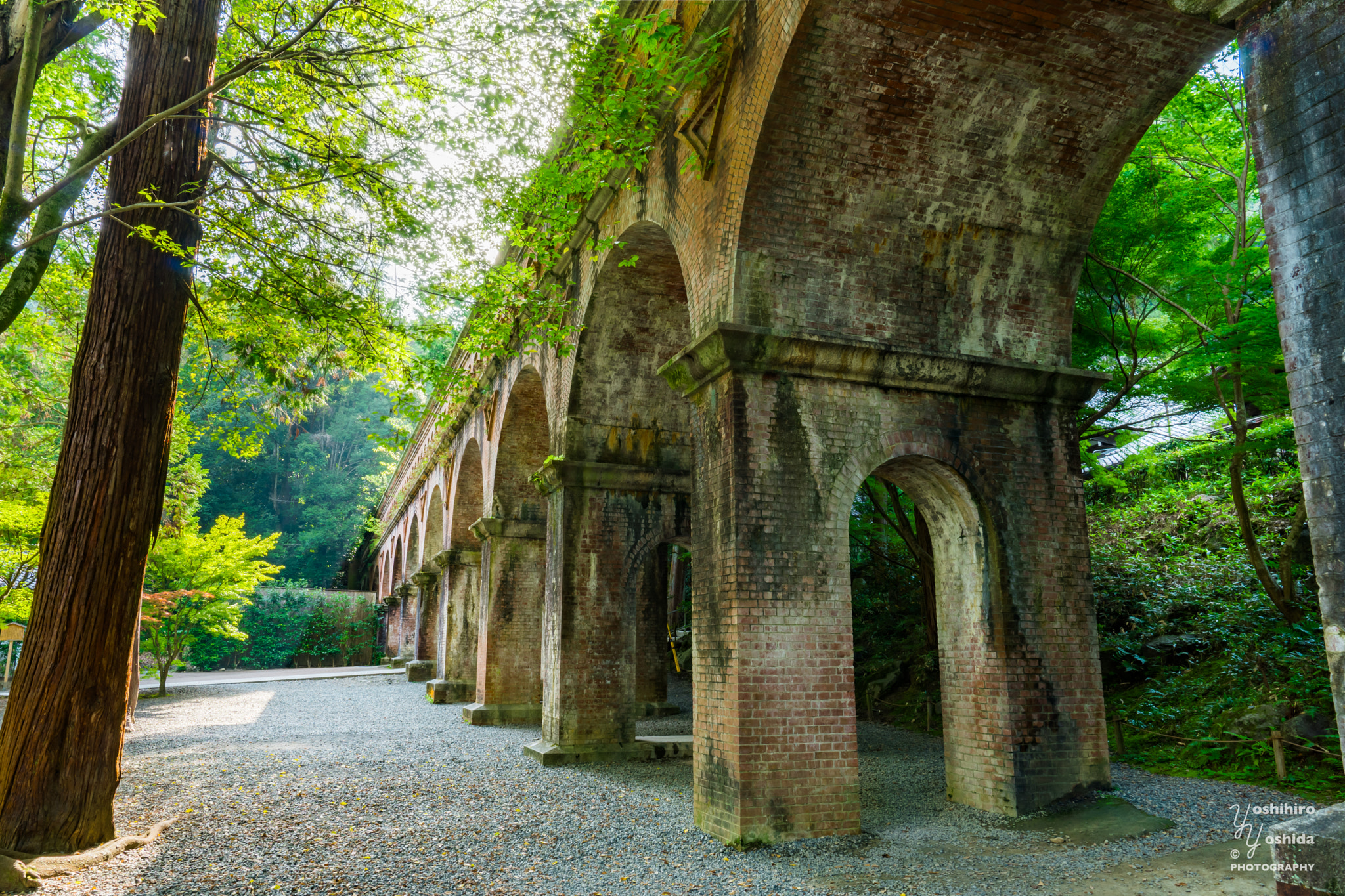 Sony SLT-A99V sample photo. Kyoto-nannzennji photography