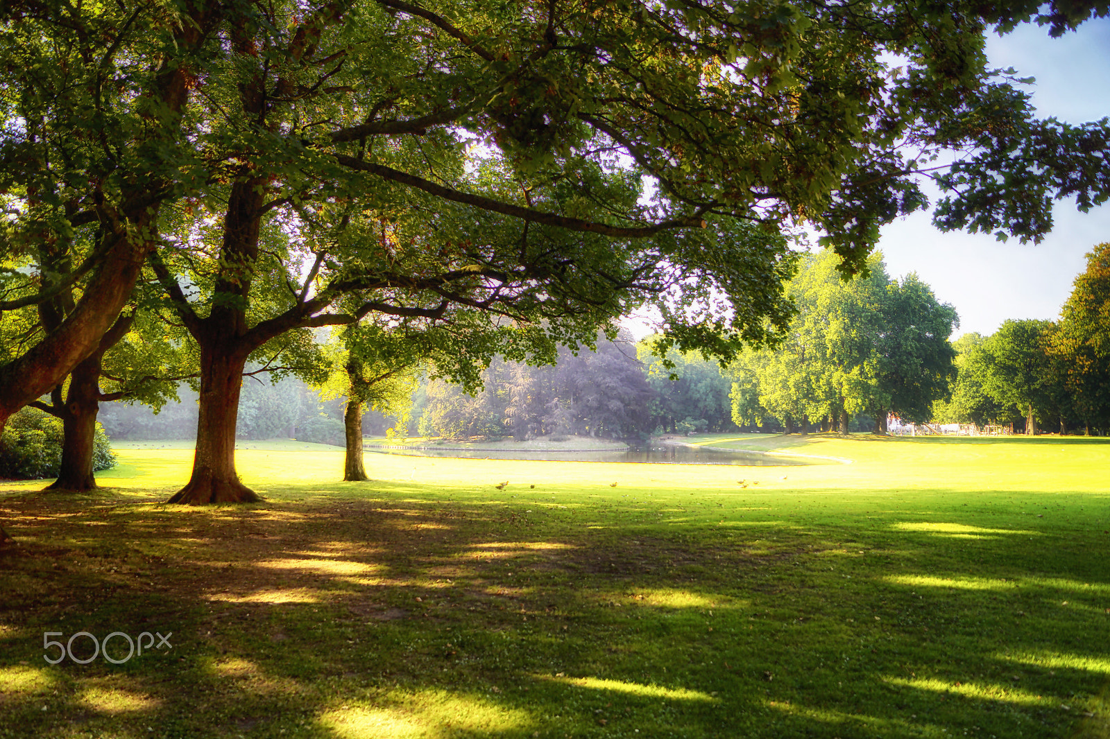 Sony SLT-A68 sample photo. At the park photography