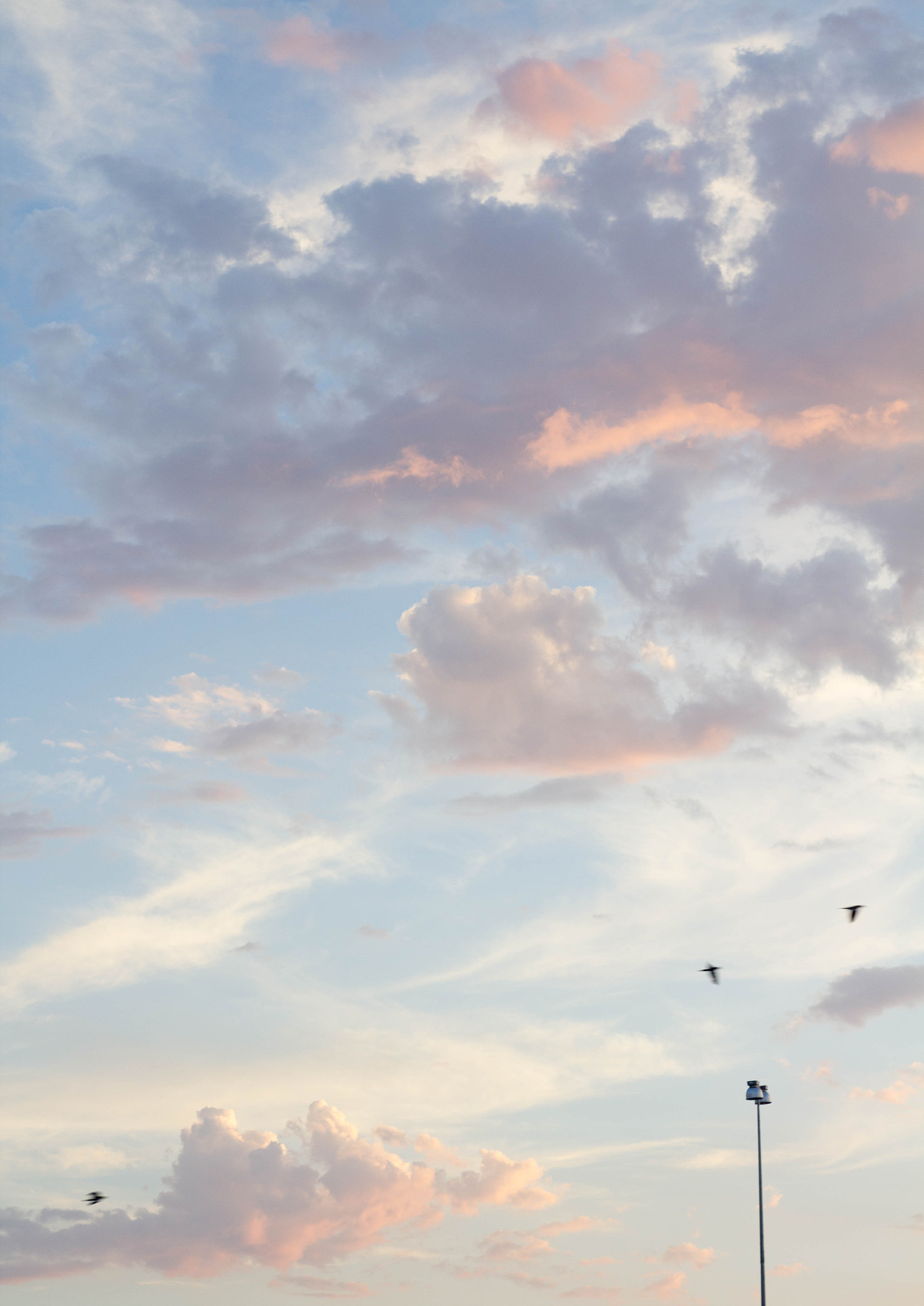Canon EF 35-80mm f/4-5.6 sample photo. Fleeting sunlight photography
