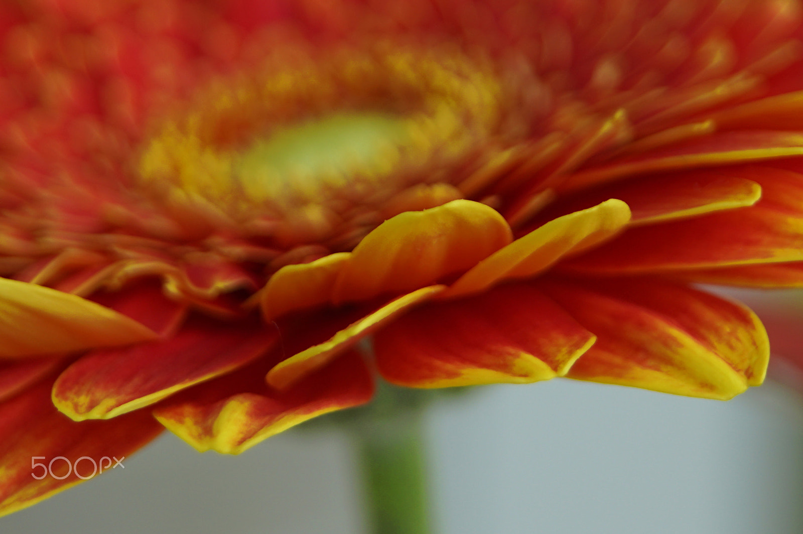 Sony SLT-A68 sample photo. Edit photography